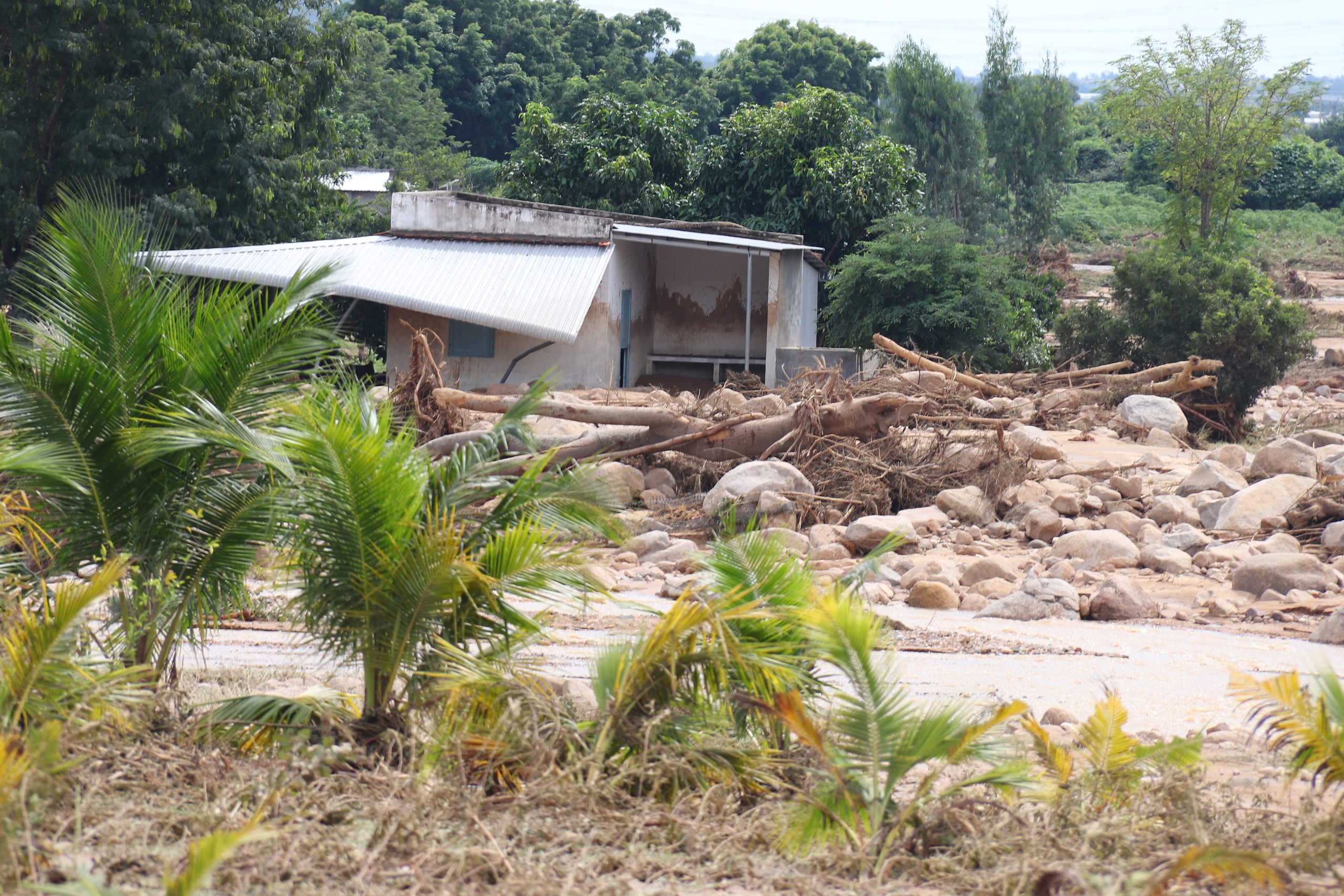 Vỡ hồ chứa nước ở Tuy Phong: Dự án nằm trên đất rừng hay đất nông nghiệp?- Ảnh 2.