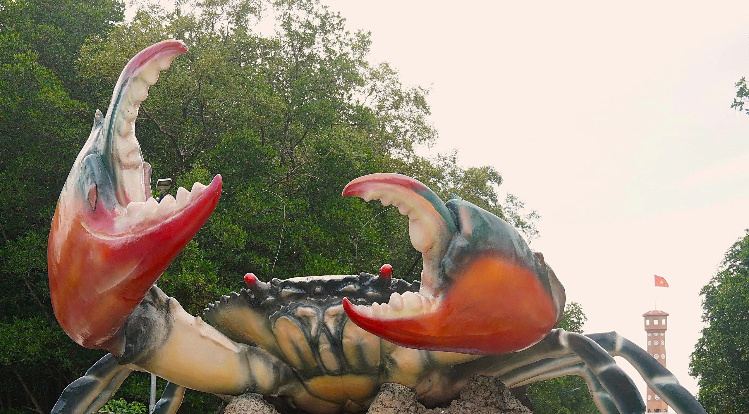 Mắm cua gạch Cà Mau: Hương vị dân dã đang dần thất truyền Mắm cua gạch Cà Mau – hương vị xưa đang dần biến mất - Ảnh 5.