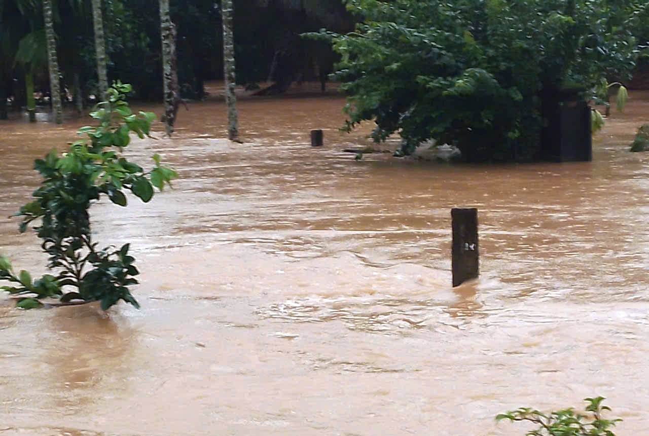 Lũ ở Đà Nẵng lại tràn về , người dân cầu mong không lặp lại cảnh khổ sở - Ảnh 1.