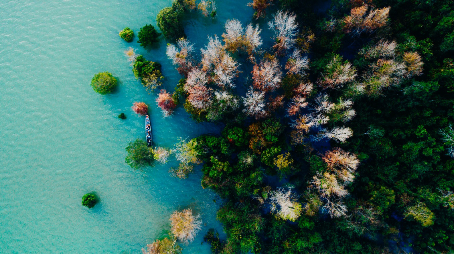 Quyến rũ mùa phong hương thay lá ở miền tây Quảng Trị- Ảnh 1.