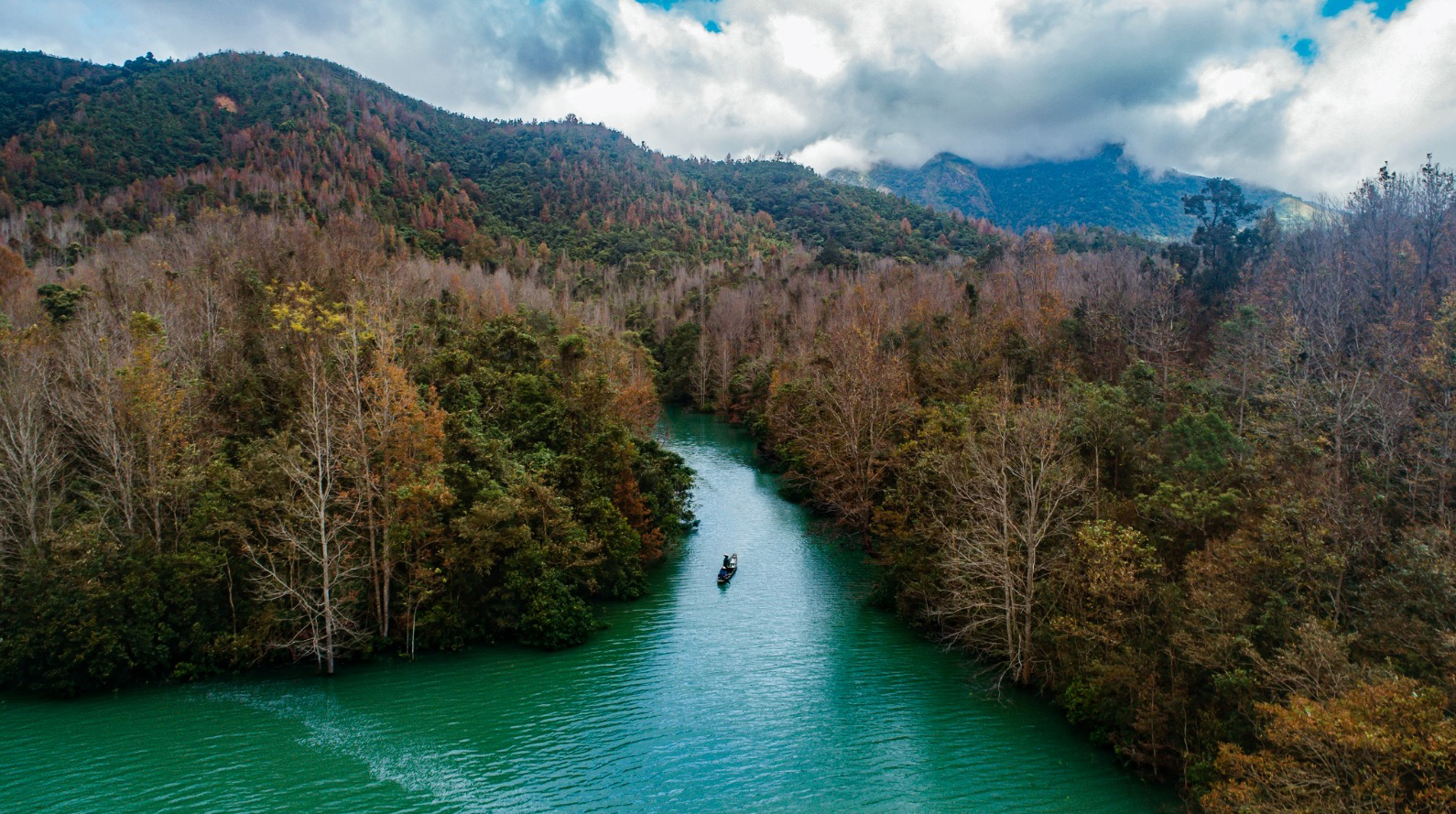 Quyến rũ mùa phong hương thay lá ở miền tây Quảng Trị- Ảnh 4.