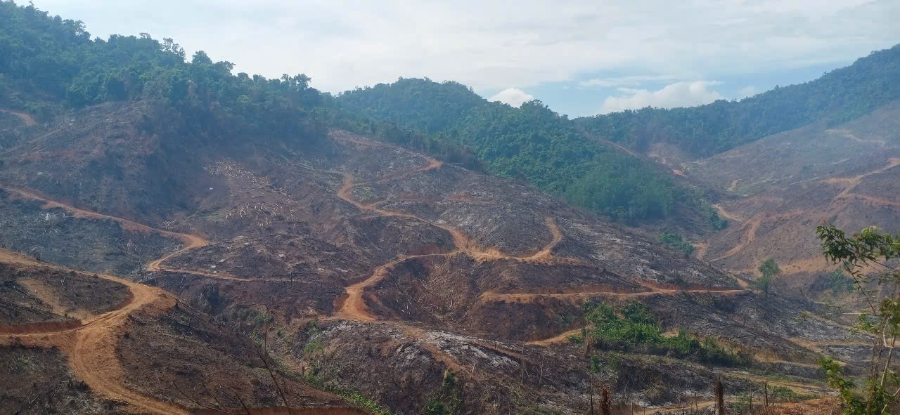 - Ảnh 1. - Ảnh 1.