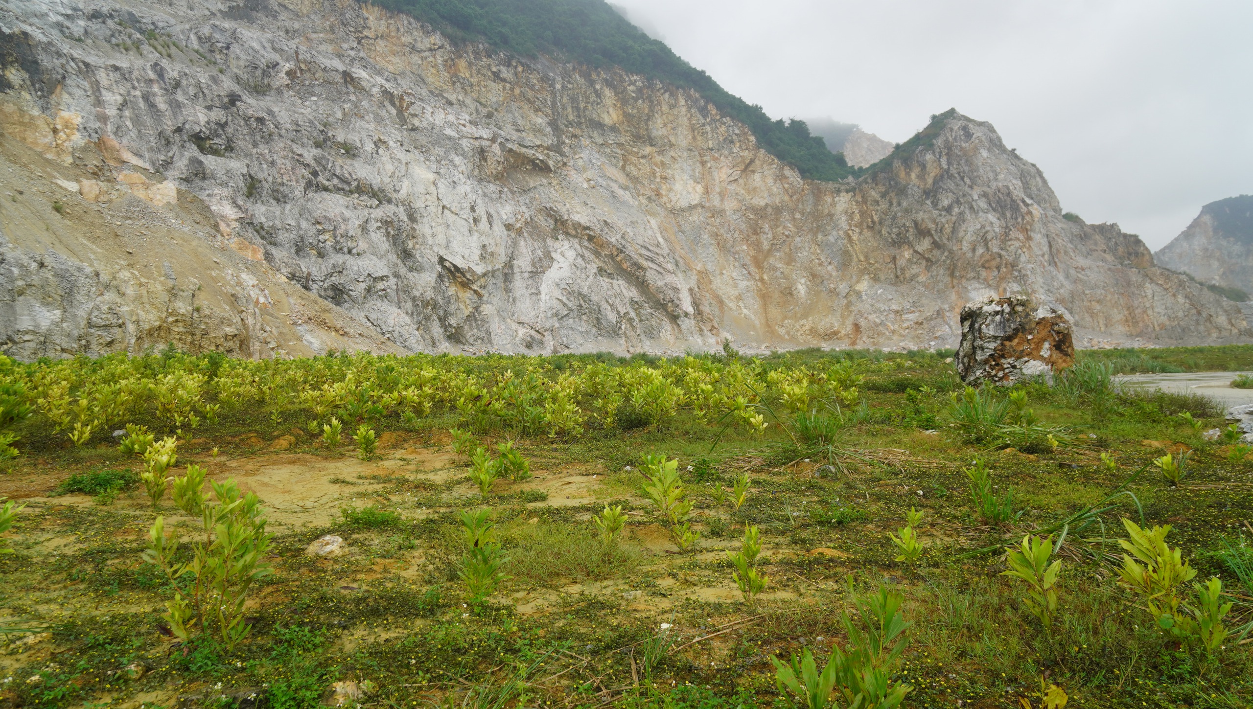 Lùm xùm vụ Vissai Ninh Bình khai thác không báo cáo 4,4 triệu tấn khoáng sản - Ảnh 2.