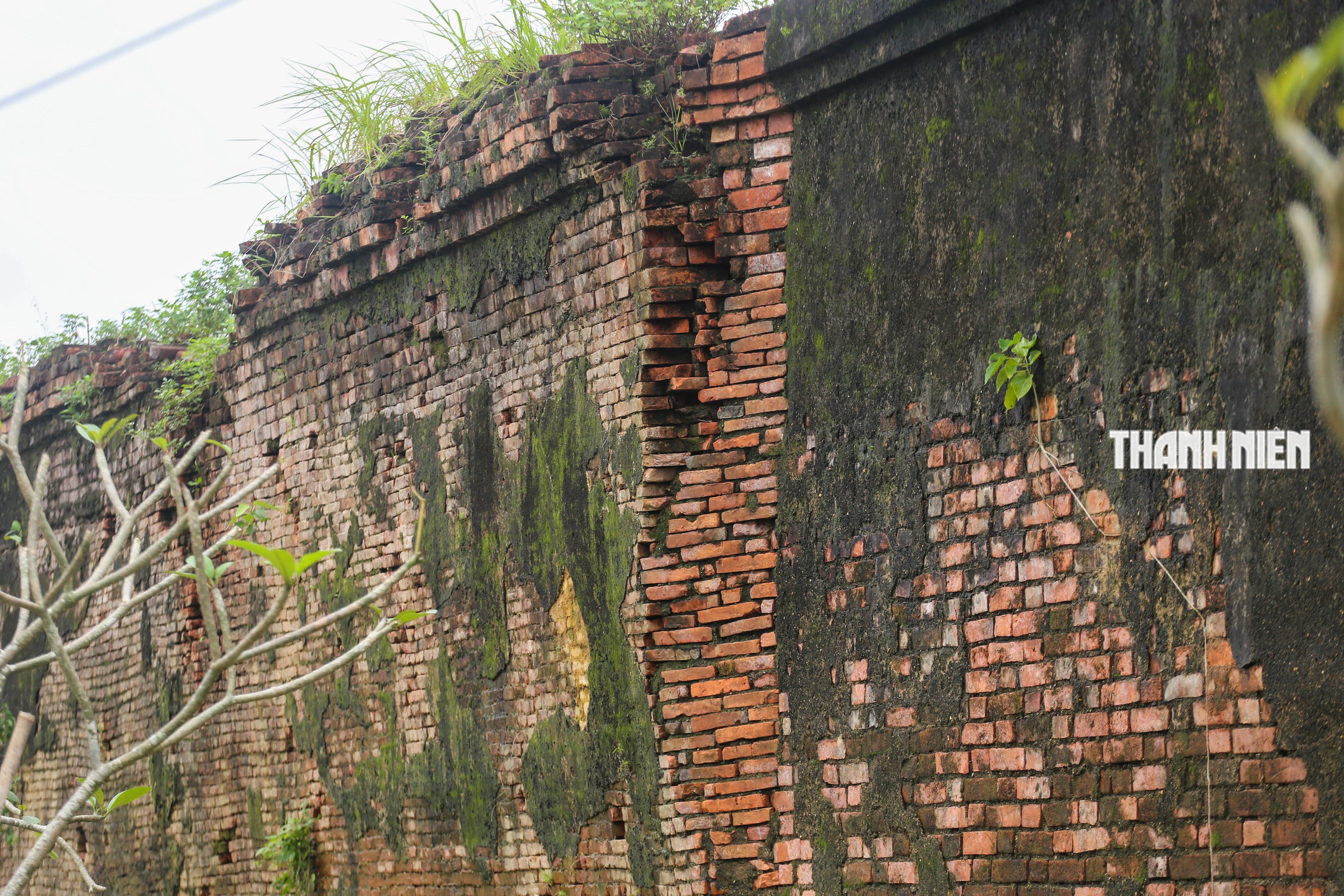 - Ảnh 7.  - Ảnh 7.