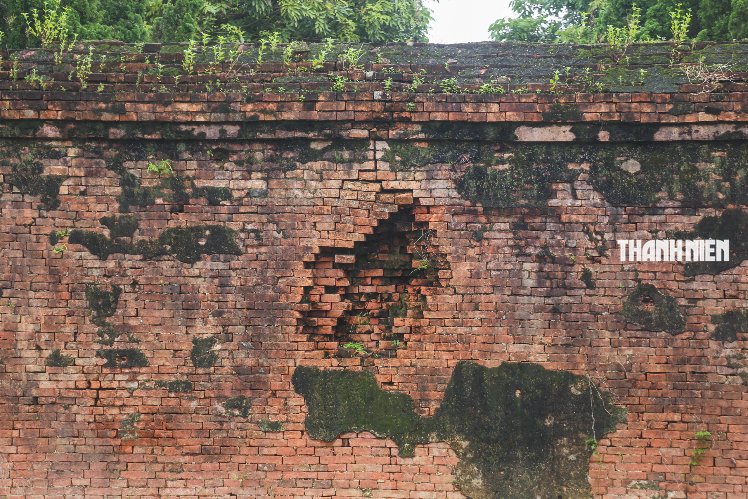 - Ảnh 11.  - Ảnh 11.