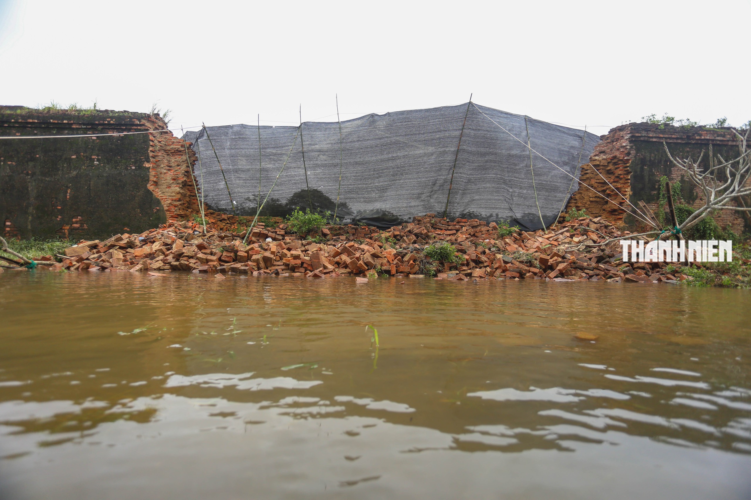 - Ảnh 1.  - Ảnh 1.