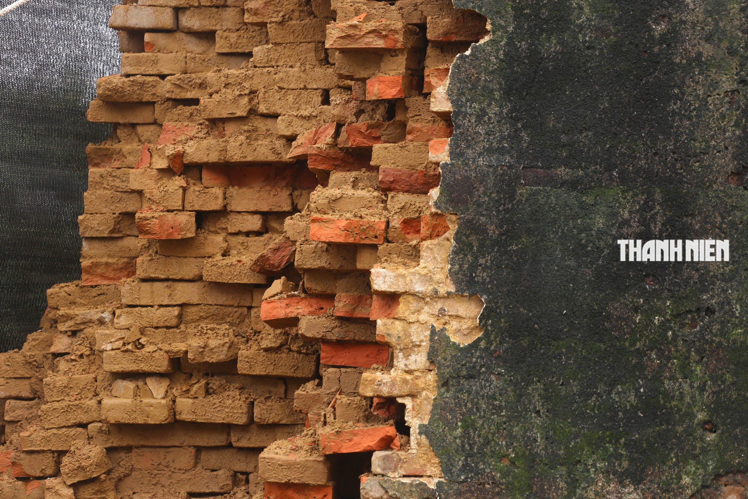 - Ảnh 10.  - Ảnh 10.