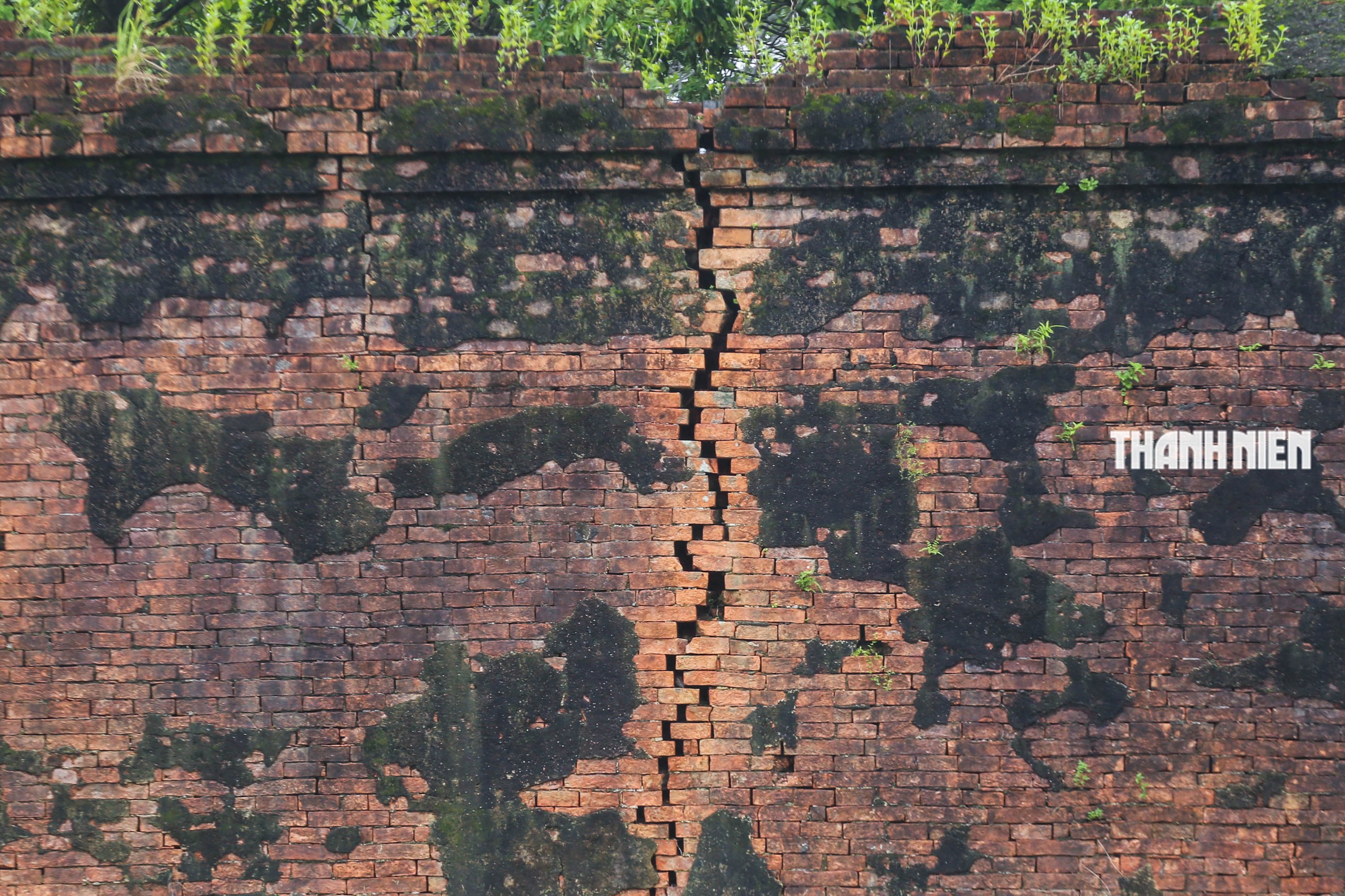 - Ảnh 8.  - Ảnh 8.