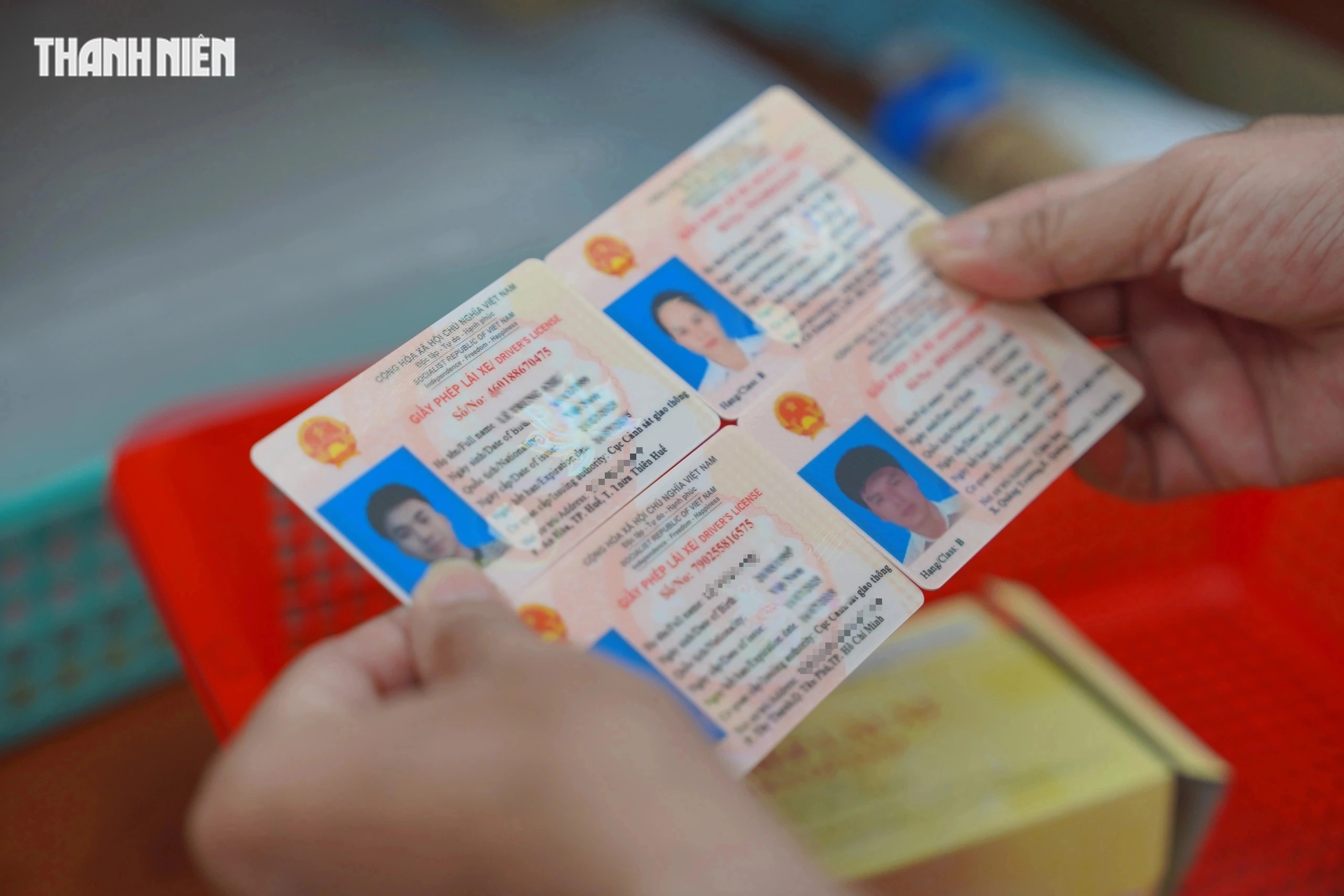 Giấy phép lái xe mới màu hồng ra mắt: Có cần đổi ngay không? - Ảnh 1.