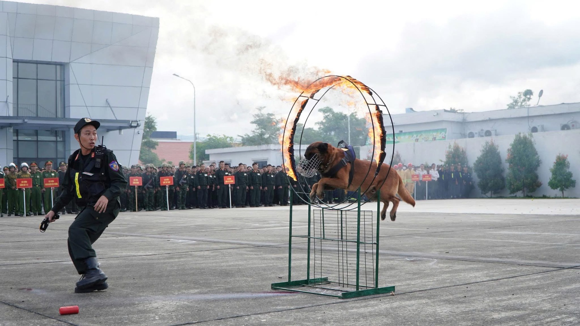 500 người diễn tập chống khủng bố tại Điện Biên - Ảnh 6.