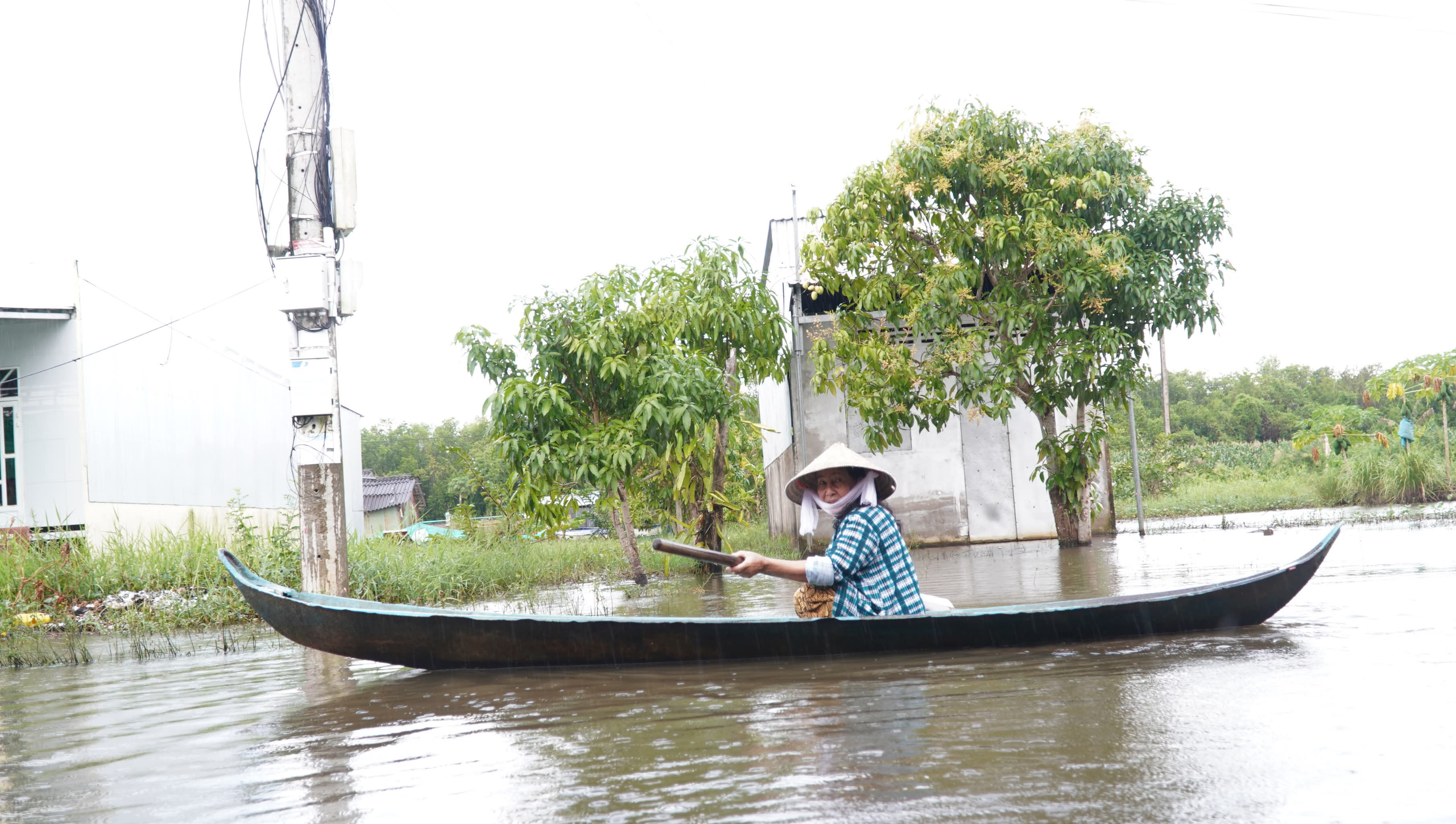 Khu tái định cư Cà Mau ngập sâu, dân dùng xuồng đi học và đi chợ - Ảnh 2.