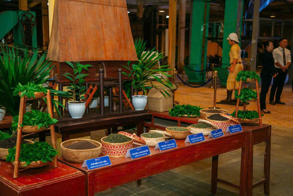 Thi khởi nghiệp về trà Việt- Ảnh 1. Thi khởi nghiệp về trà Việt- Ảnh 1.