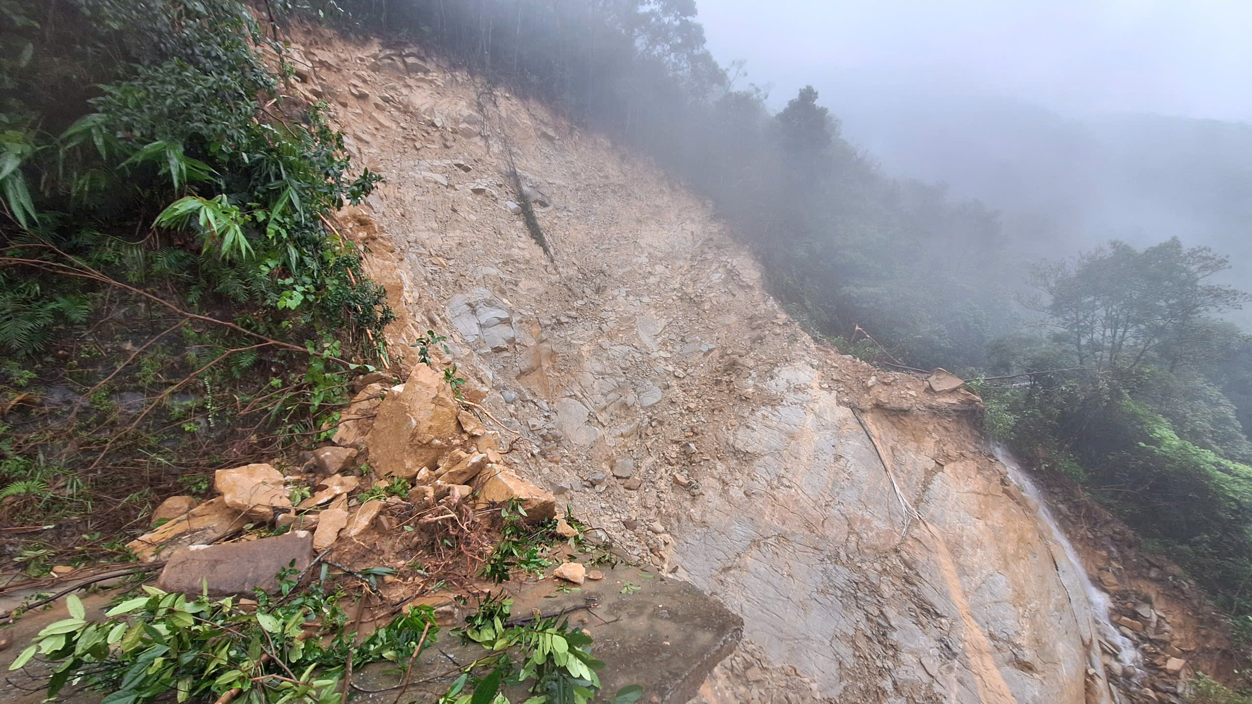 - Ảnh 1. - Ảnh 1.