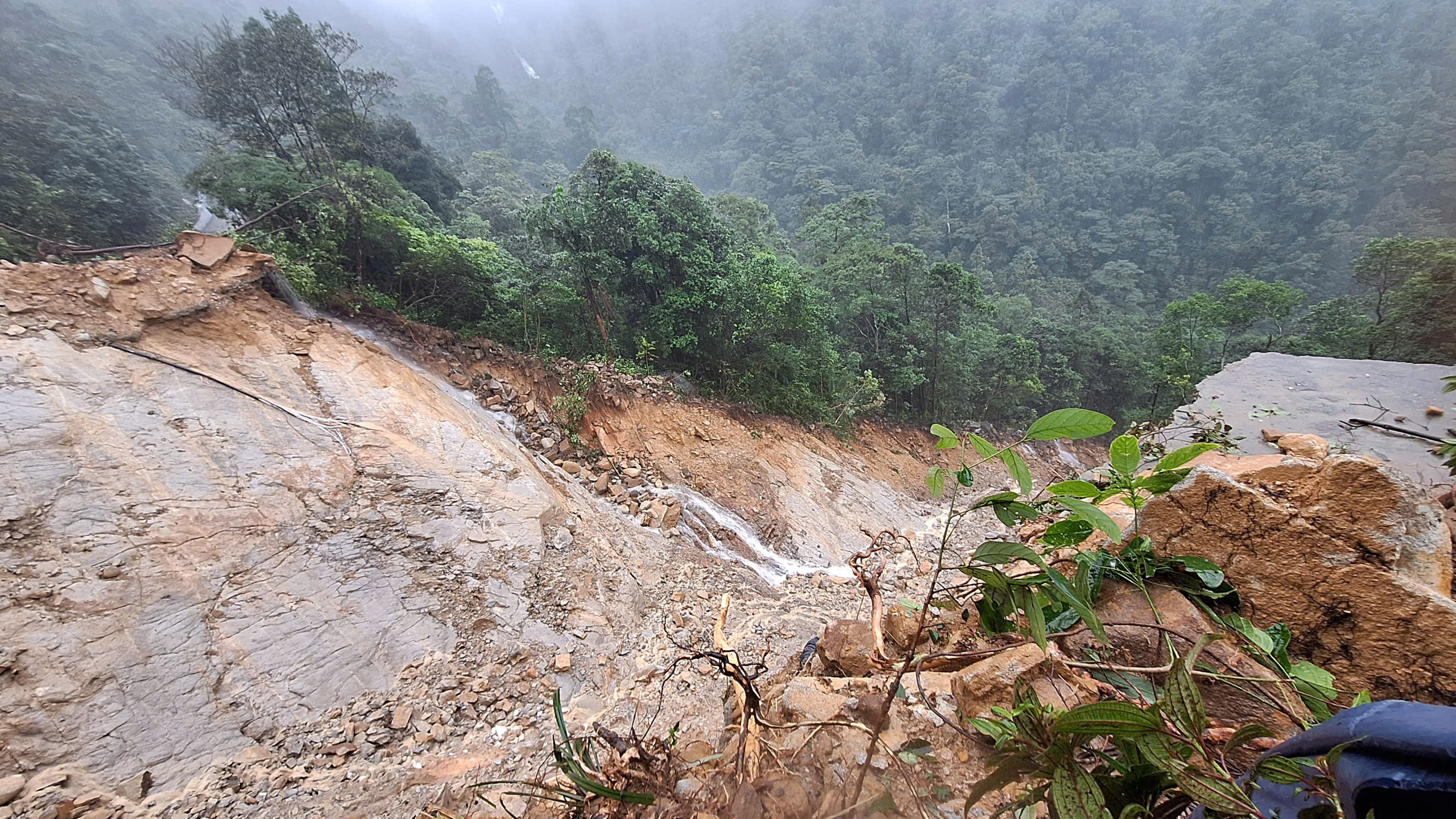 - Ảnh 2. - Ảnh 2.