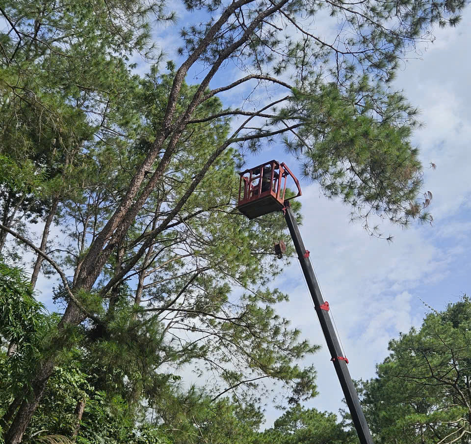 Lãnh đạo tỉnh Khánh Hòa đồng loạt kiểm tra công tác ứng phó bão số 13 Kalmaegi - Ảnh 3. Lãnh đạo tỉnh Khánh Hòa đồng loạt kiểm tra công tác ứng phó bão số 13 Kalmaegi - Ảnh 3.
