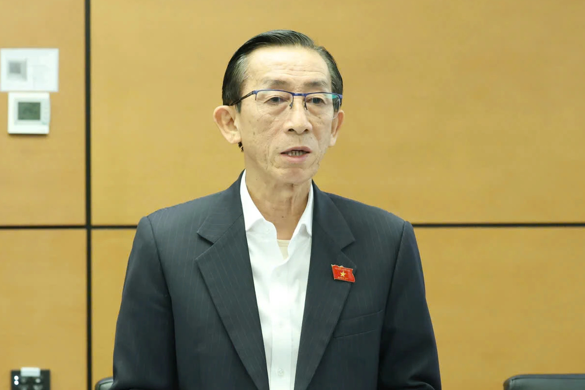 Đại biểu đề nghị nâng ngưỡng chịu thuế với hộ kinh doanh lên 300 - 400 triệu- Ảnh 1.