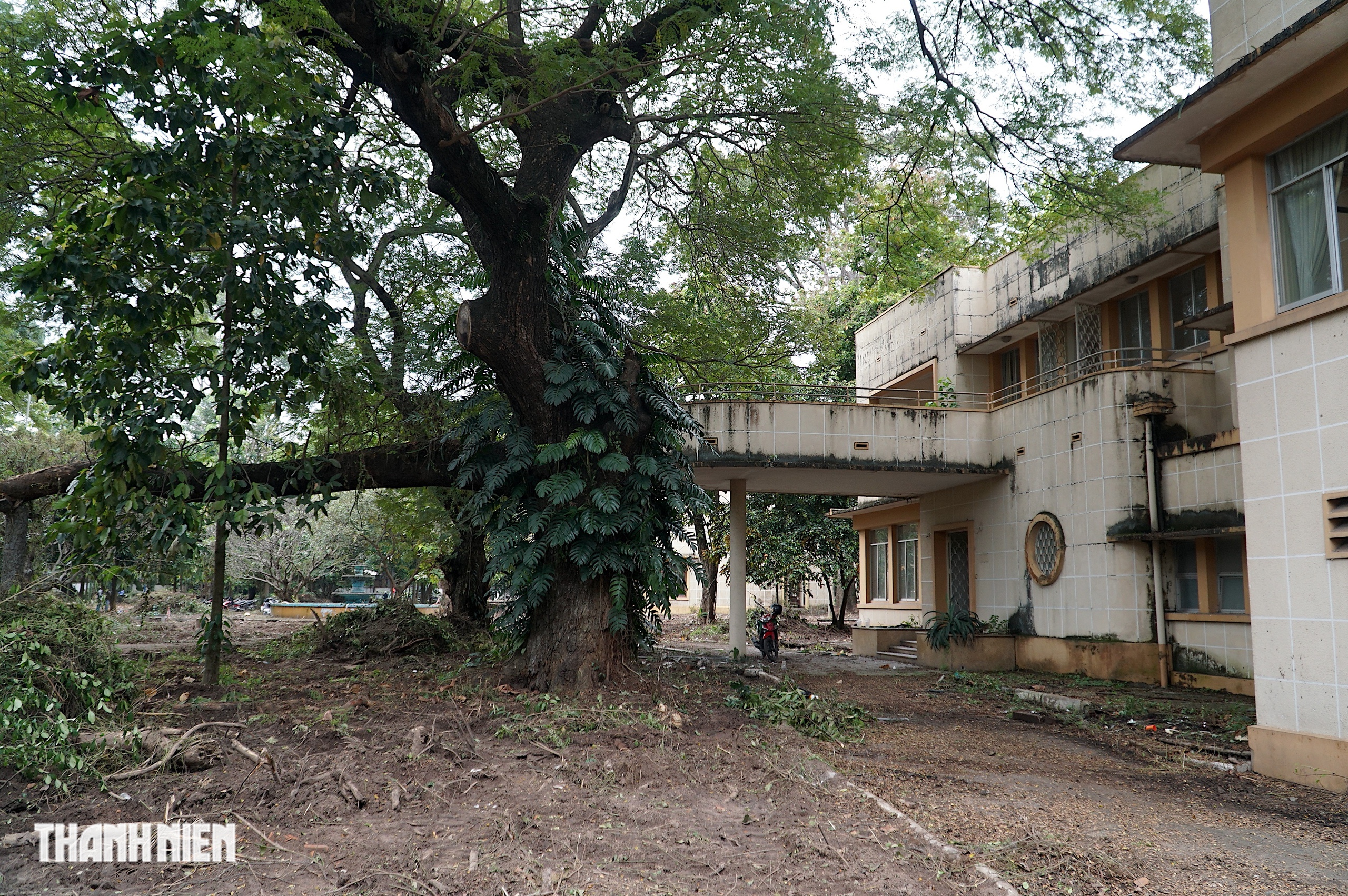 Kh&aacute;m ph&aacute; khu đất v&agrave;ng với 7 biệt thự kiến tr&uacute;c Ph&aacute;p ở TP . HCM - Ảnh 12.