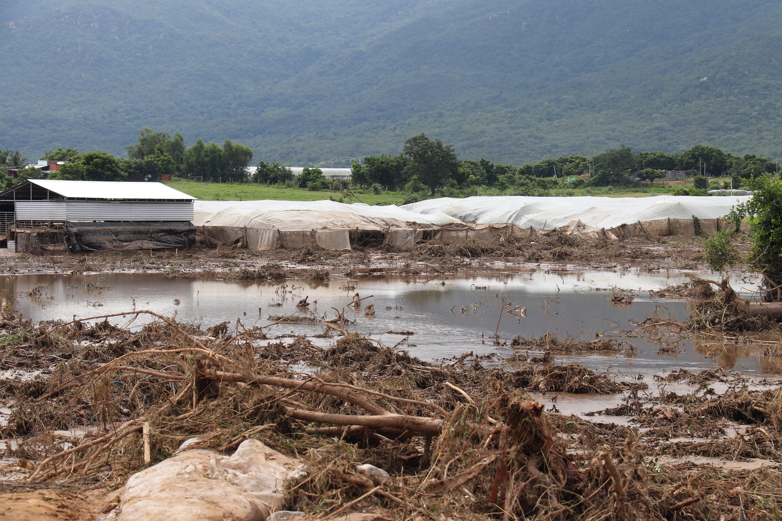 Vỡ hồ chứa nước trên núi Tân Lai: Lâm Đồng xử lý dứt điểm công trình trái phép - Ảnh 2. Vỡ hồ chứa nước trên núi Tân Lai: Lâm Đồng xử lý dứt điểm công trình trái phép - Ảnh 2.