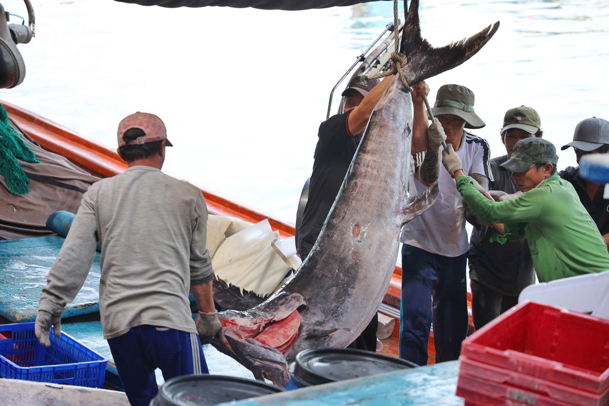 - Φωτογραφία 4. - Ảnh 4.