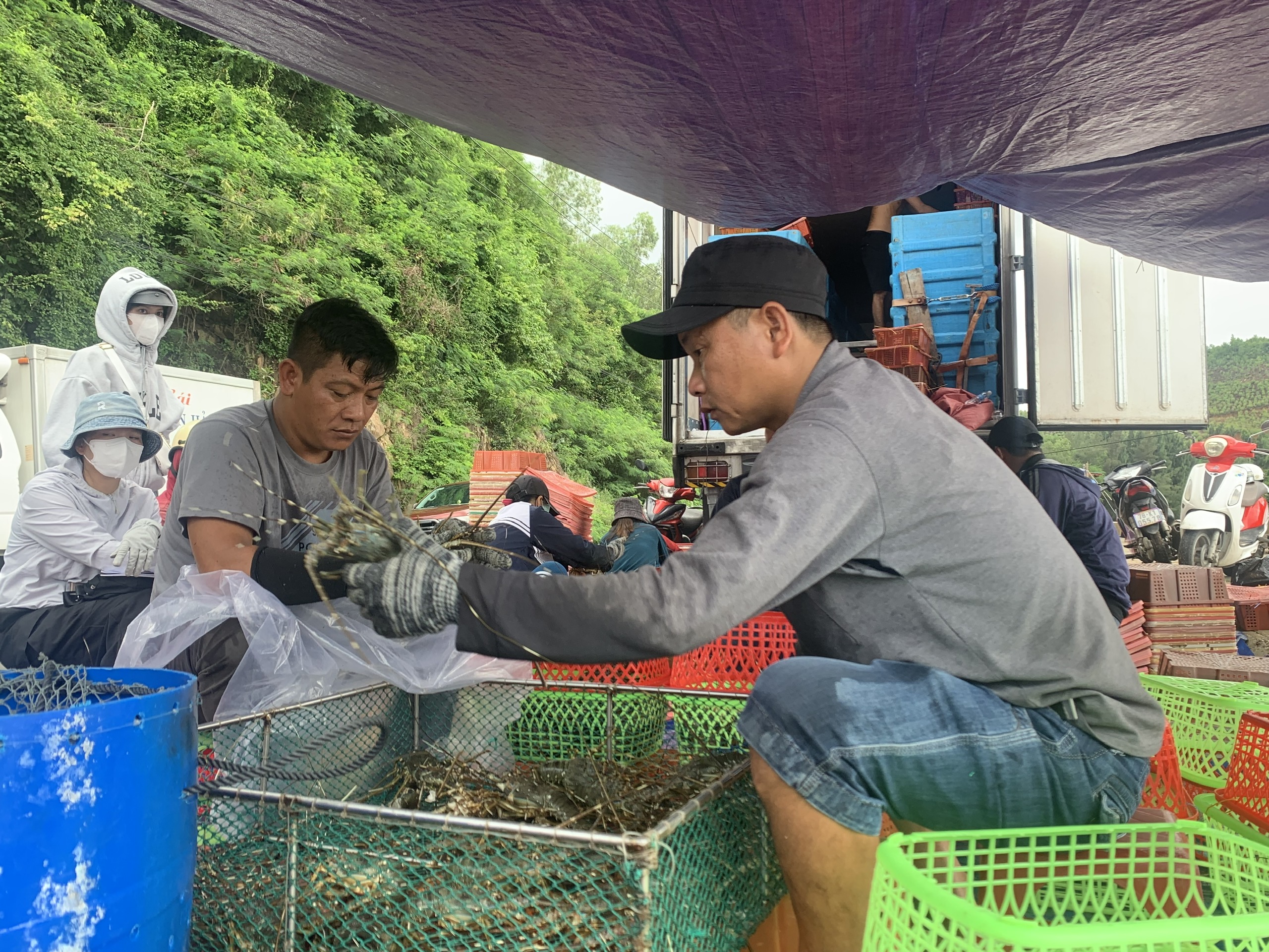 Ứng phó bão số 13 Kalmaegi: Thủ phủ tôm hùm vịnh Xuân Đài 'chạy đua' với bão - Ảnh 2.
