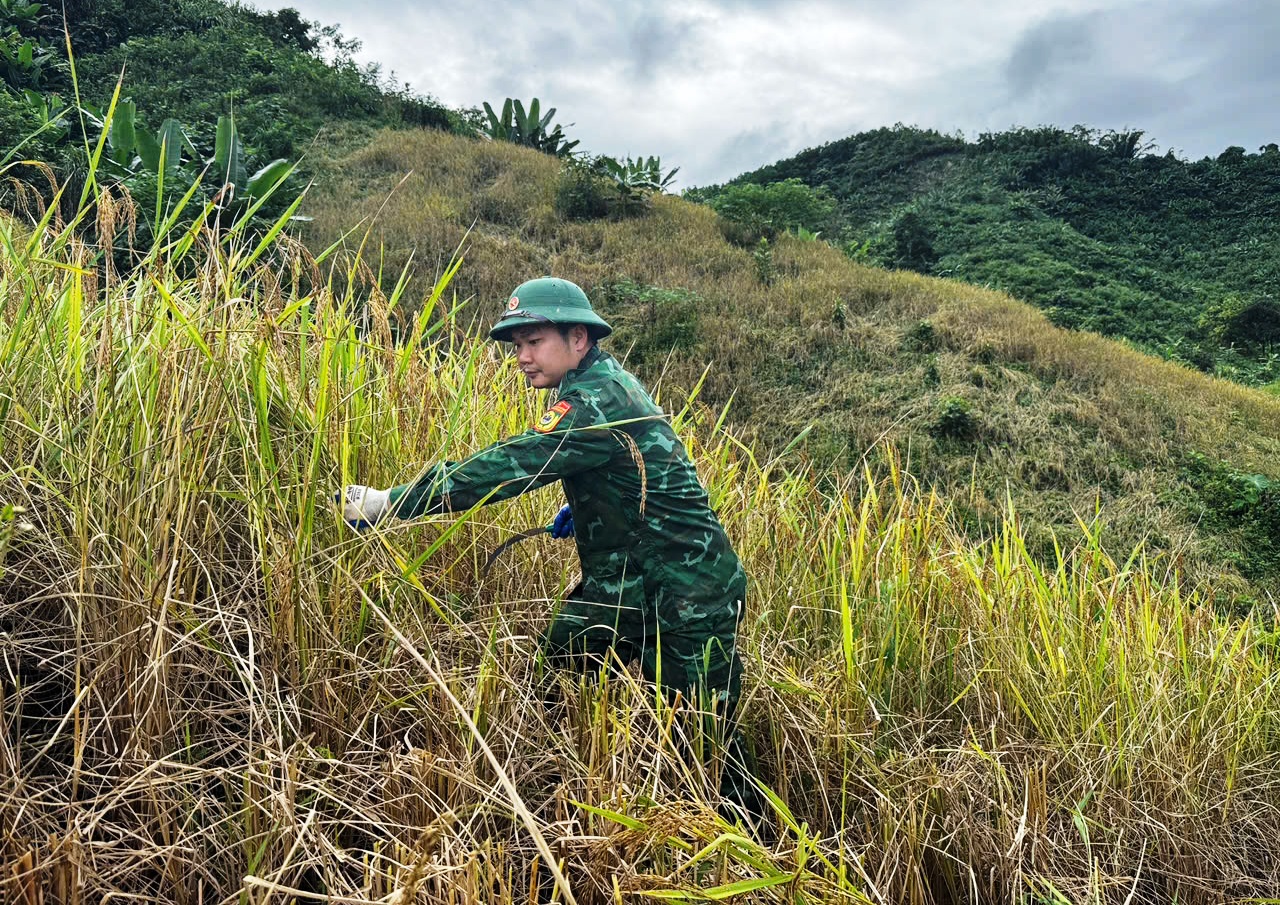Đà Nẵng khẩn trương sơ tán dân, ứng phó bão số 13 Kalmaegi trước ngày 6.11 - Ảnh 3.