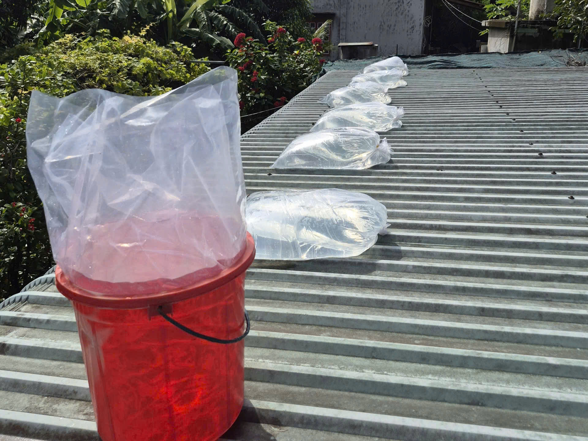 Bịch ni lông cháy hàng trước bão số 13 Kalmaegi , người Đắk Lắk ứng phó hiệu quả - Ảnh 6.