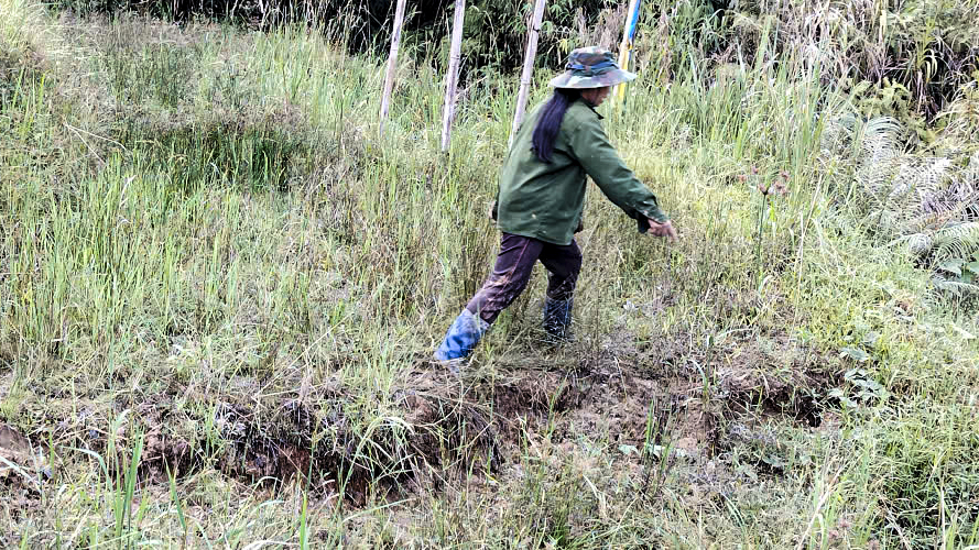 Quảng Ngãi: Xuất hiện nhiều vết nứt trên sườn núi, khẩn cấp di dời dân - Ảnh 3.