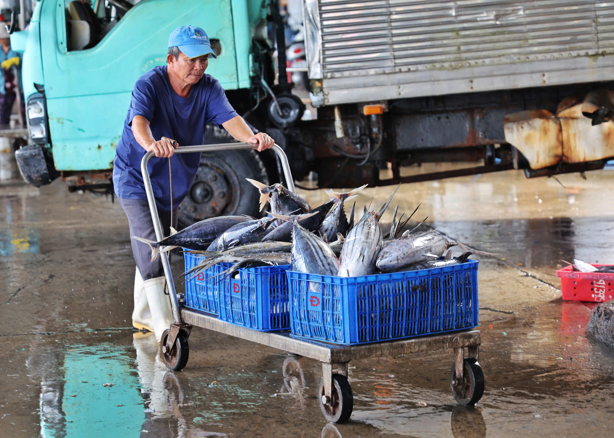 Ngư dân khánh hòa bán tháo cá tránh bão số 13 Kalmaegi với giá thấp - Ảnh 4.