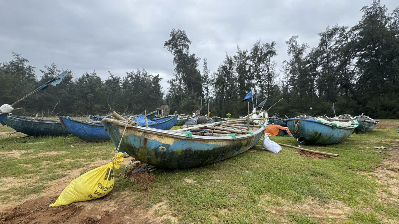 - Ảnh 3. - Ảnh 3.