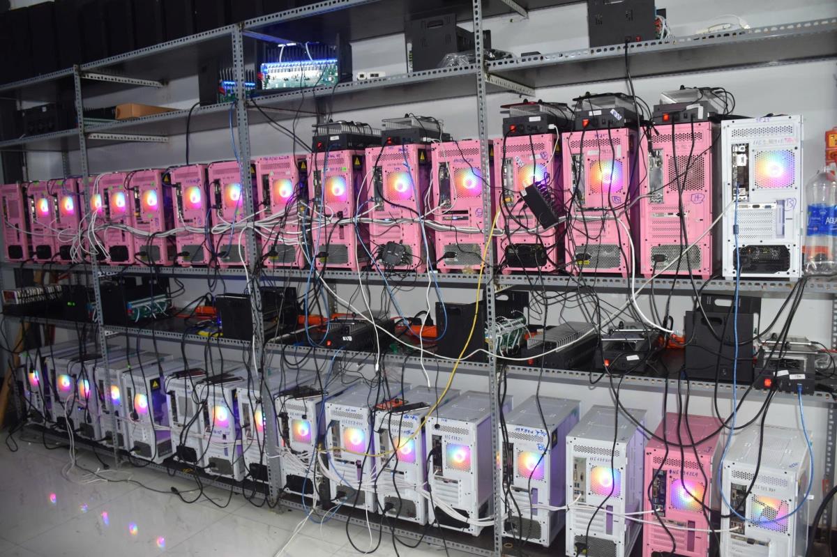 - Ảnh 1. - Ảnh 1.