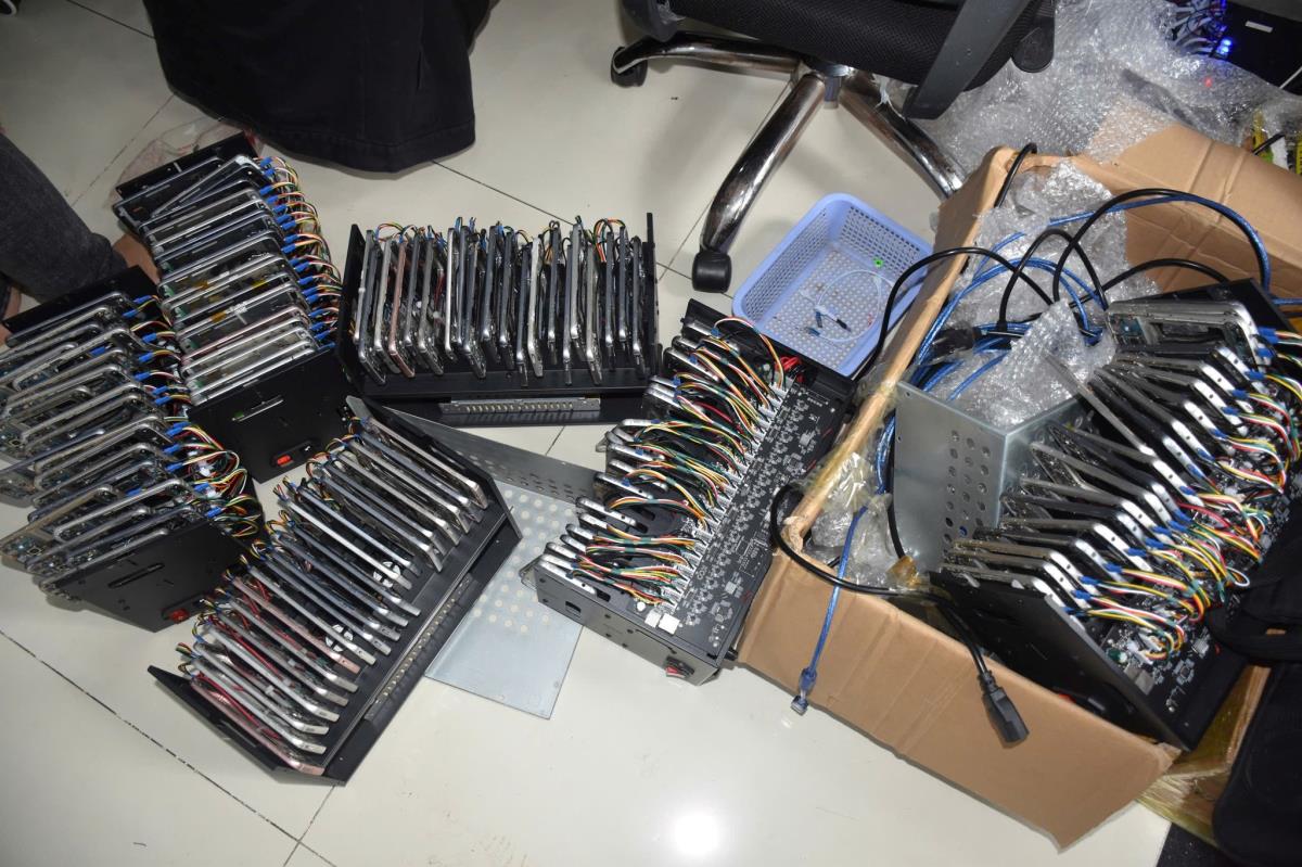 - Ảnh 2. - Ảnh 2.