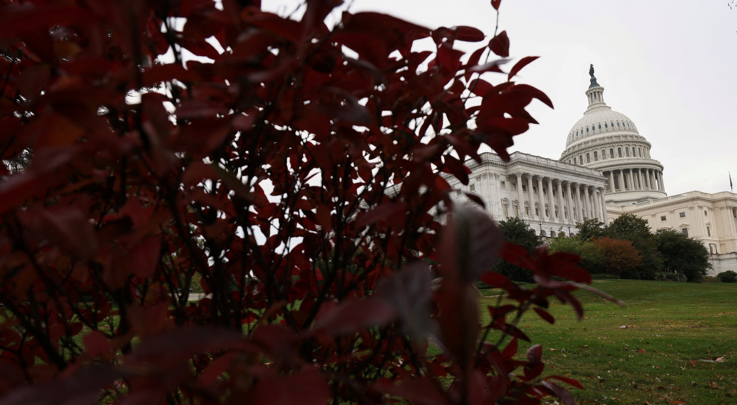 Đ&oacute;ng cửa ch&iacute;nh phủ Mỹ k&eacute;o d&agrave;i ph&aacute; kỷ lục, &ocirc;ng Trump lo lắng - Ảnh 1.