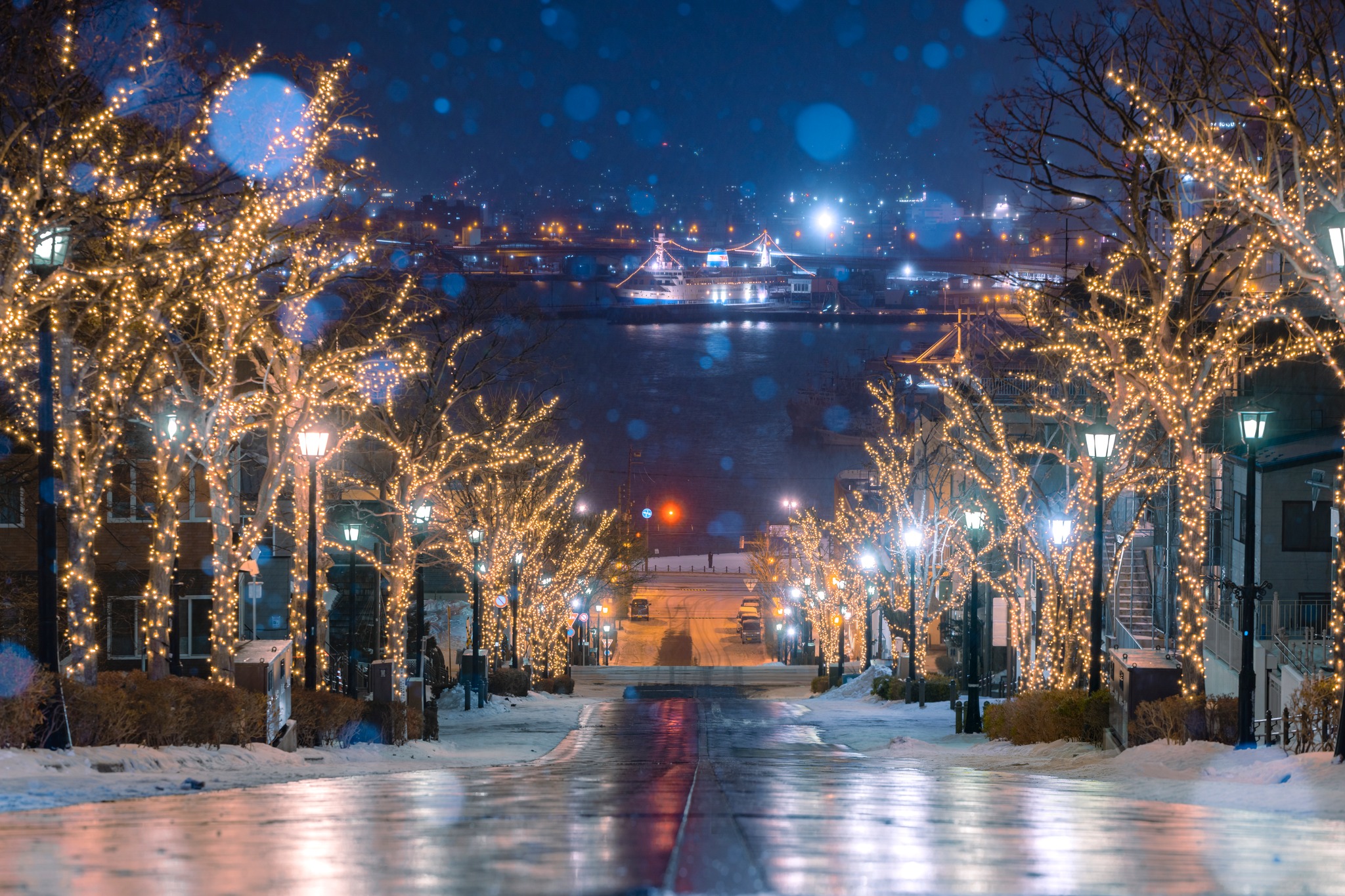 Hôm nay người Việt đón tiết Lập đông: Tết dương lịch 2026 đến gần, tiết khí nào? - Ảnh 2.