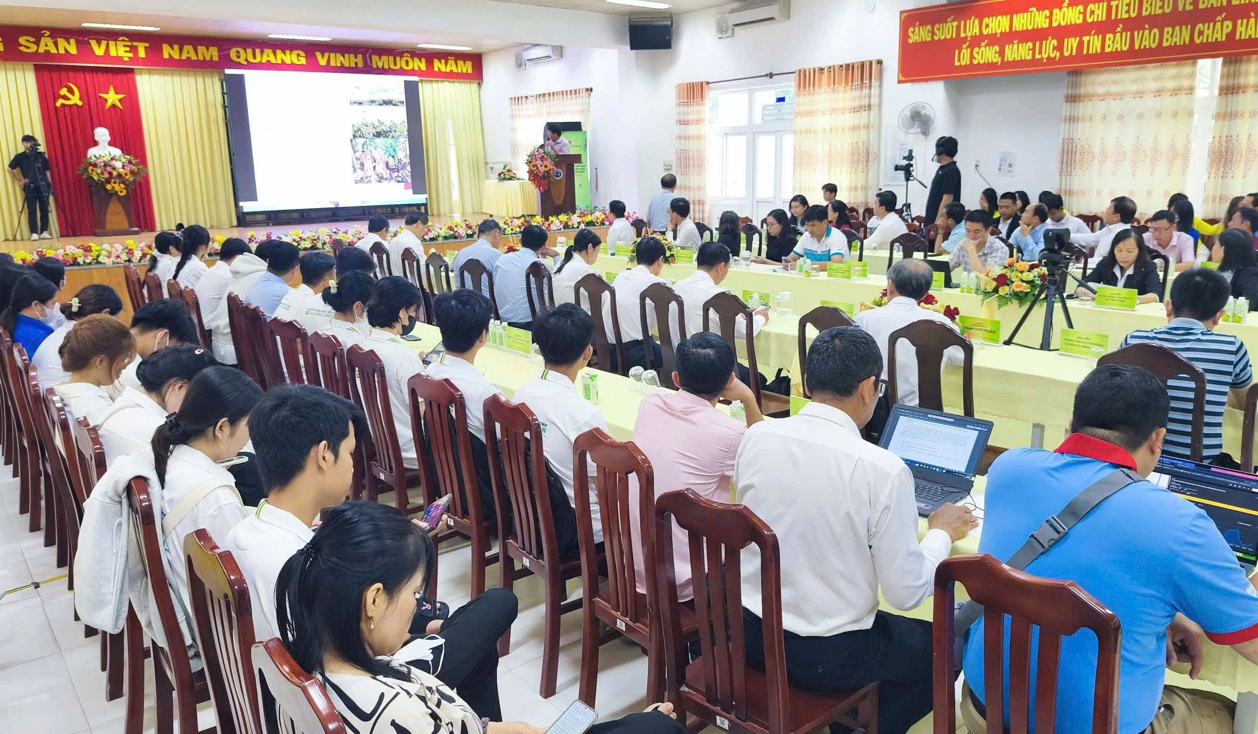 Làm sao để cây dừa Vĩnh Long khỏe phục vụ người dân?- Ảnh 3. Làm sao để cây dừa Vĩnh Long khỏe phục vụ người dân?- Ảnh 3.