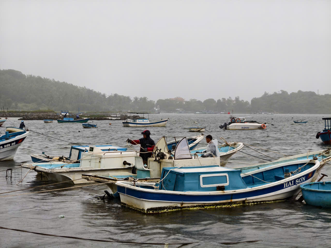 - Ảnh 2. - Ảnh 2.