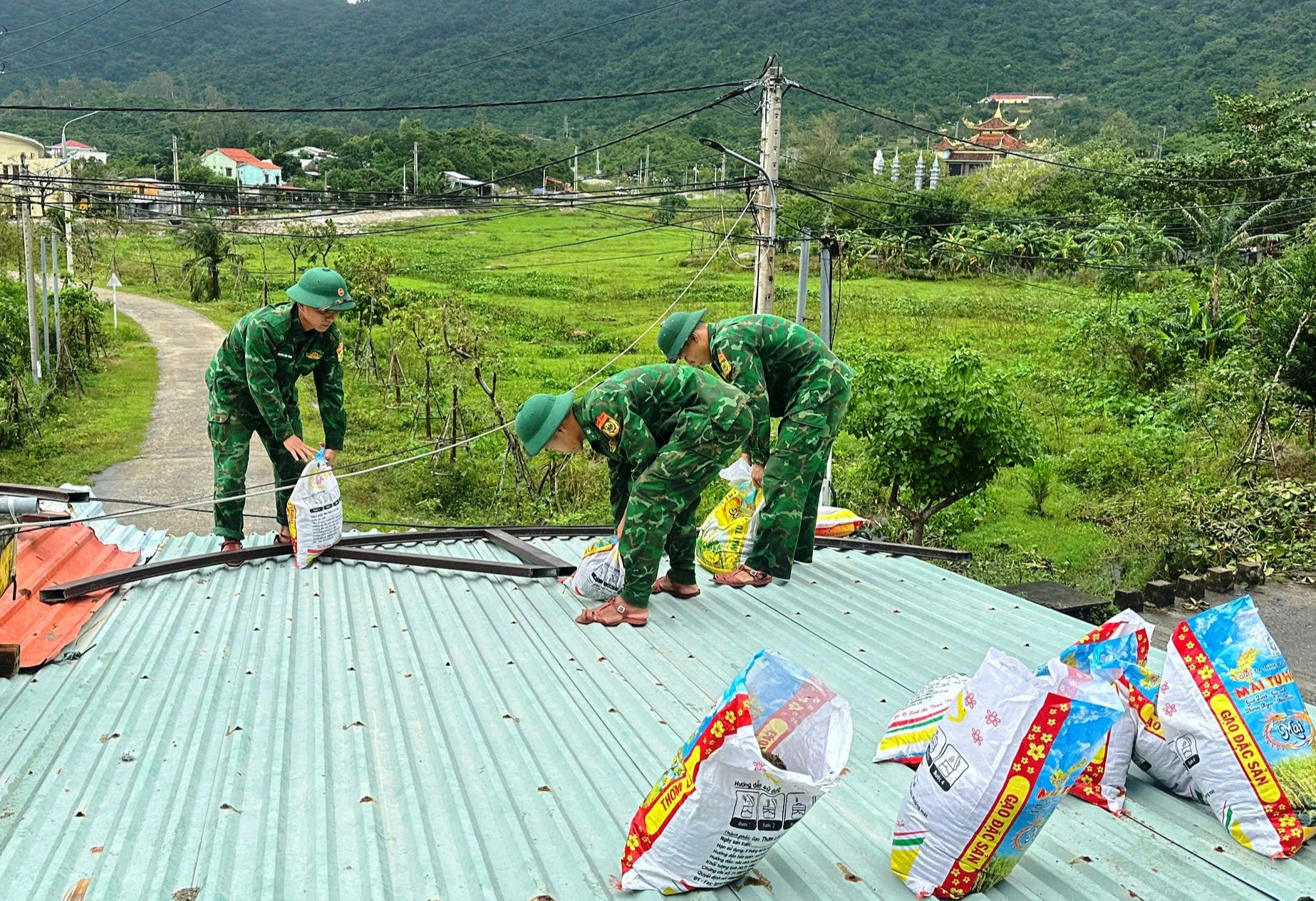 Bộ đội biên phòng TP.Đà Nẵng tổng lực ứng phó bão Kalmaegi - Ảnh 2.