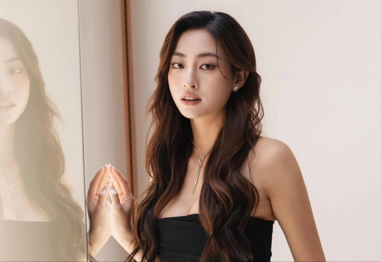 - Ảnh 1. Hoa hậu Lương Thùy Linh mang profile 'khủng' đi xin làm 'giúp việc' - Ảnh 1.