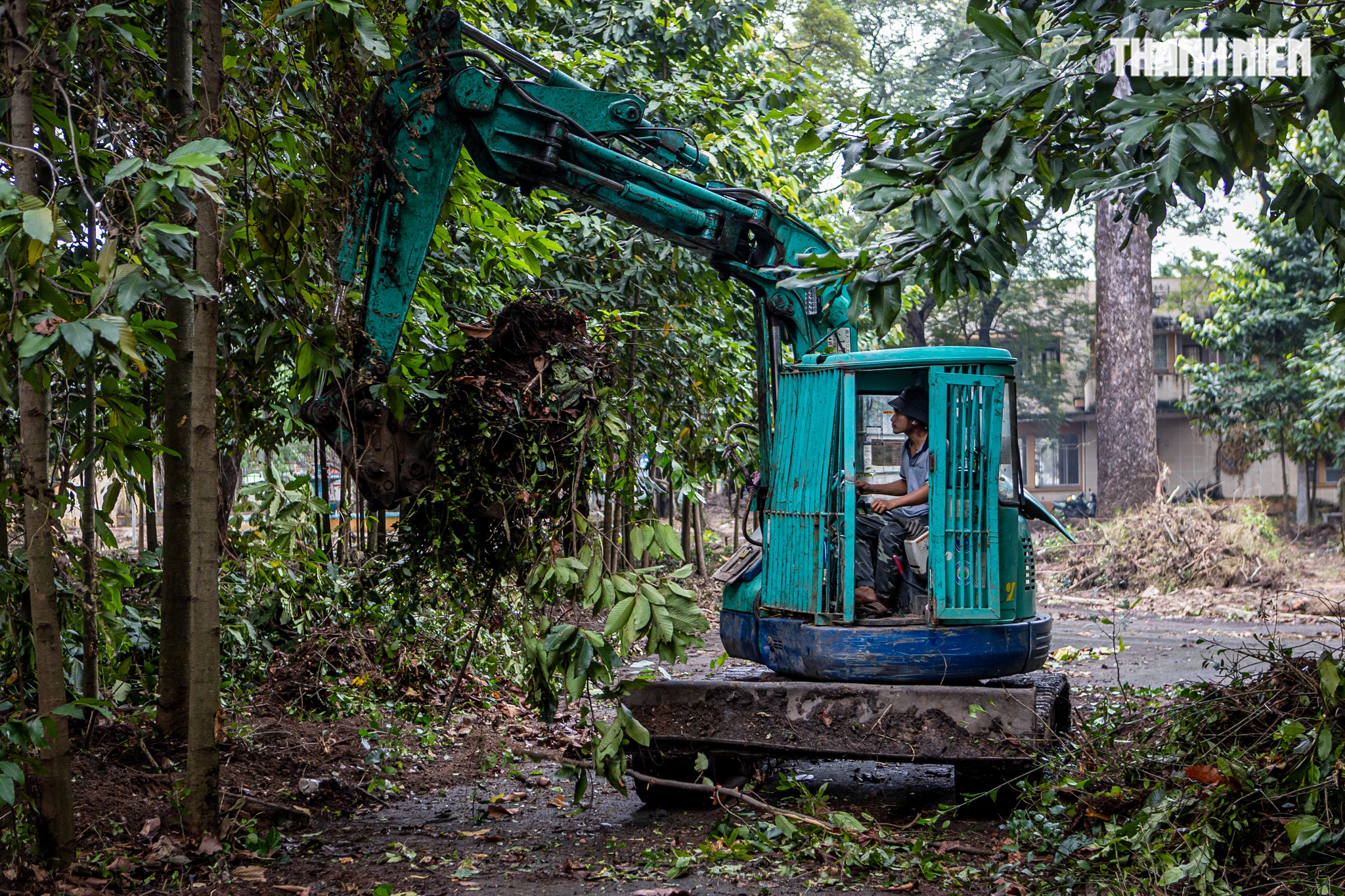TP.HCM tất bật dọn 'đất vàng' để xây công viên và đài tưởng niệm nạn nhân Covid-19- Ảnh 2. TP.HCM tất bật dọn 'đất vàng' để xây công viên và đài tưởng niệm nạn nhân Covid-19- Ảnh 2.