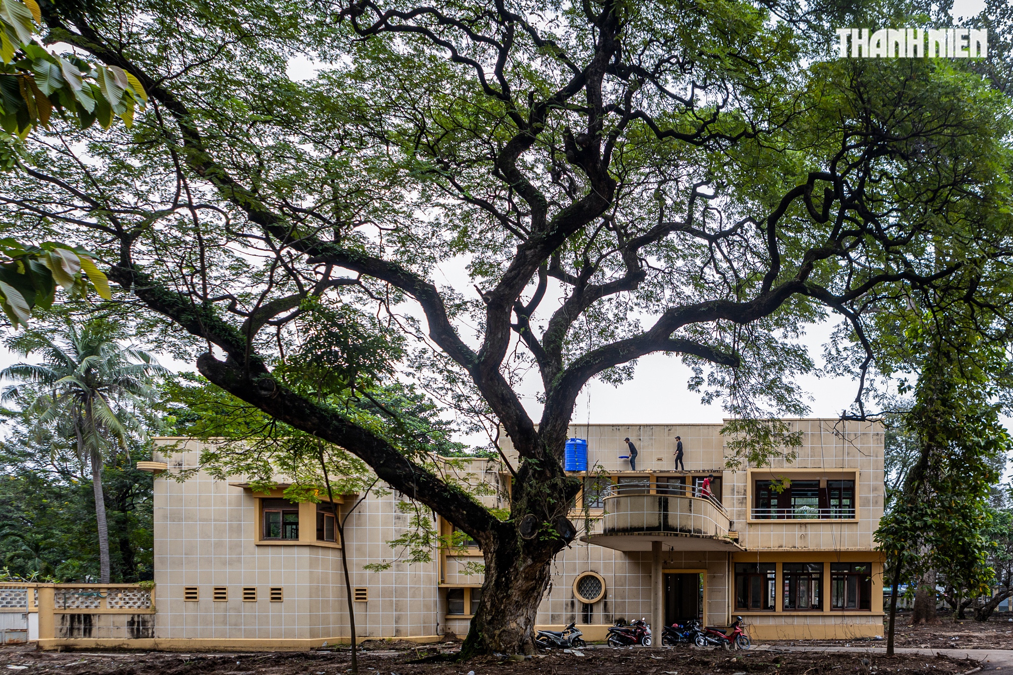 TP.HCM tất bật dọn 'đất vàng' để xây công viên và đài tưởng niệm nạn nhân Covid-19- Ảnh 10. TP.HCM tất bật dọn 'đất vàng' để xây công viên và đài tưởng niệm nạn nhân Covid-19- Ảnh 10.