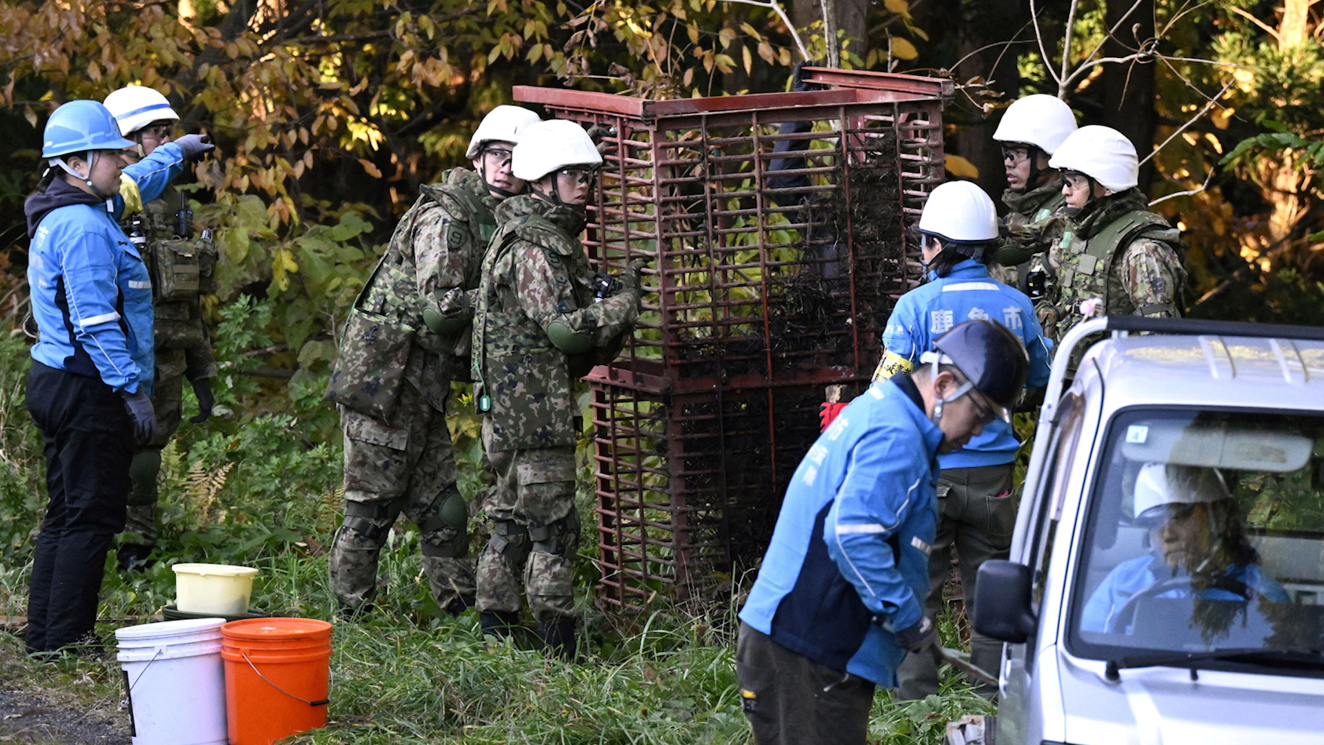 Nhật Bản triển khai qu&acirc;n đội để bẫy gấu sau l&agrave;n s&oacute;ng tấn c&ocirc;ng kỷ lục - Ảnh 1.