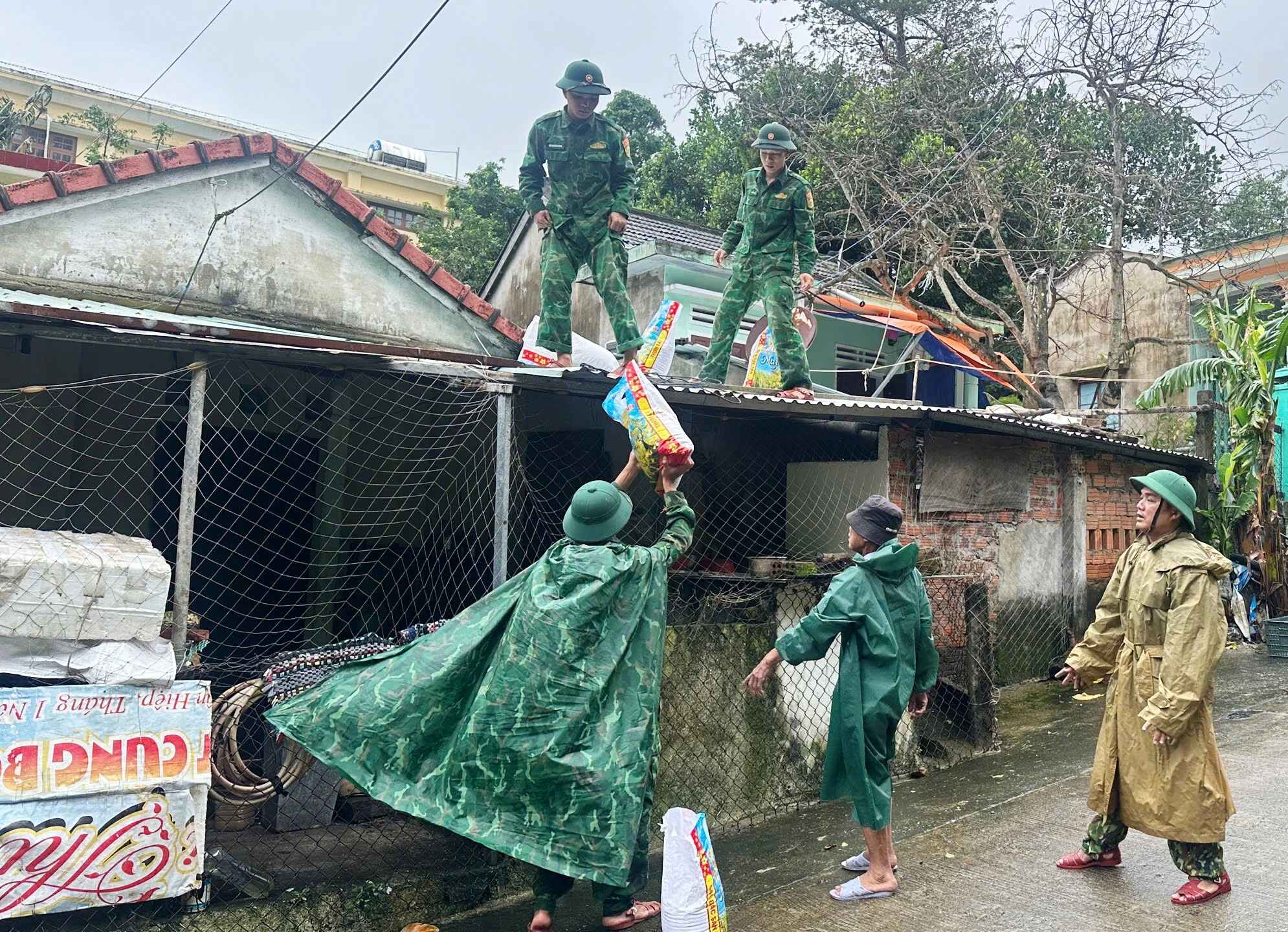 - Ảnh 2. - Ảnh 2.