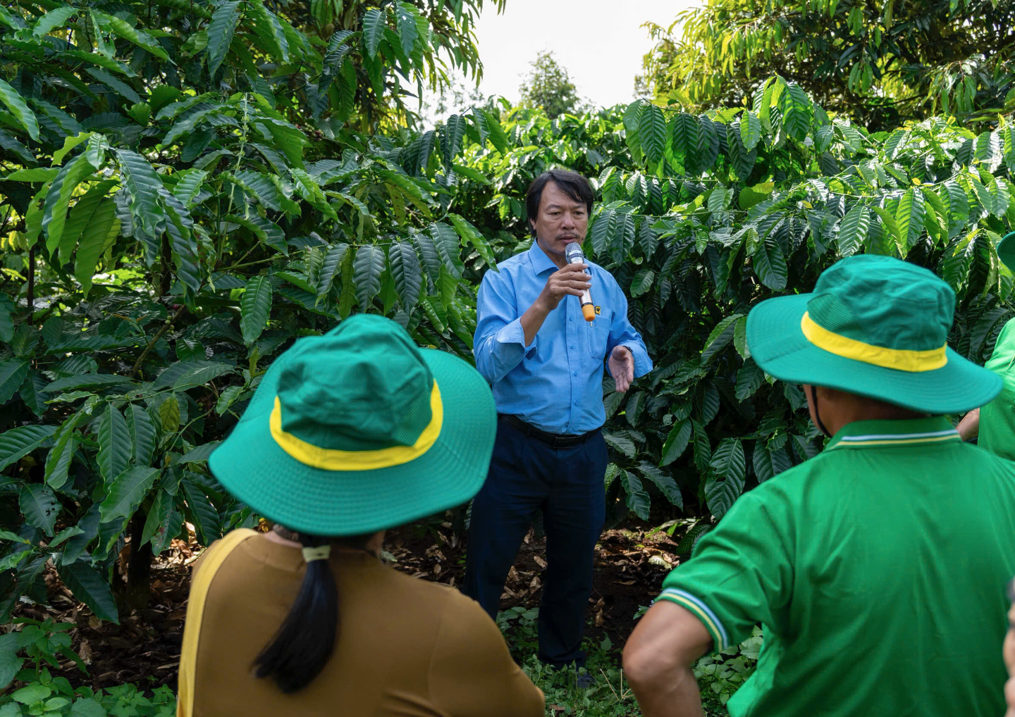 Thu nhập tăng thêm cả trăm triệu đồng nhờ 'trồng cà phê thông minh' - Ảnh 1. Thu nhập tăng thêm cả trăm triệu đồng nhờ 'trồng cà phê thông minh' - Ảnh 1.