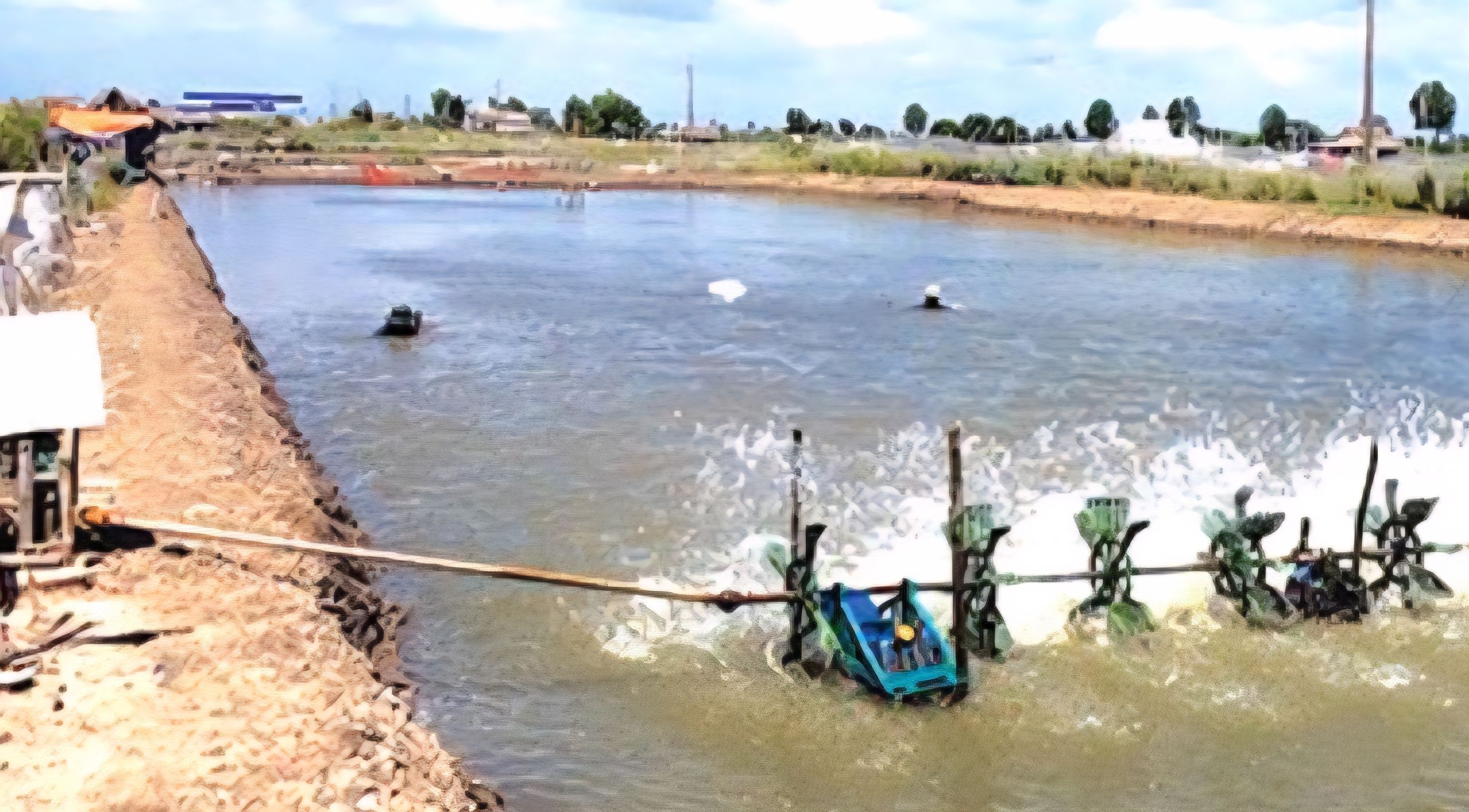 Cà Mau: Hai cha con tử vong dưới vuông tôm, nghi bị điện giật - Ảnh 1.