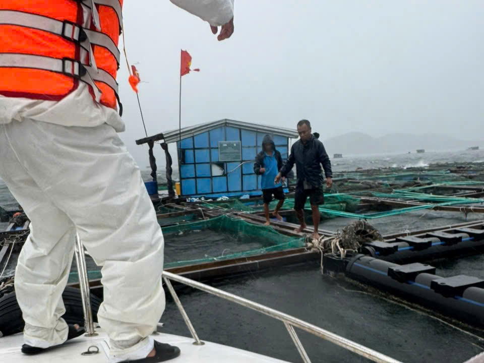 Khánh hòa cưỡng chế người dân trên lồng bè vào bờ tránh bão Kalmaegi an toàn - Ảnh 1. Khánh hòa cưỡng chế người dân trên lồng bè vào bờ tránh bão Kalmaegi an toàn - Ảnh 1.