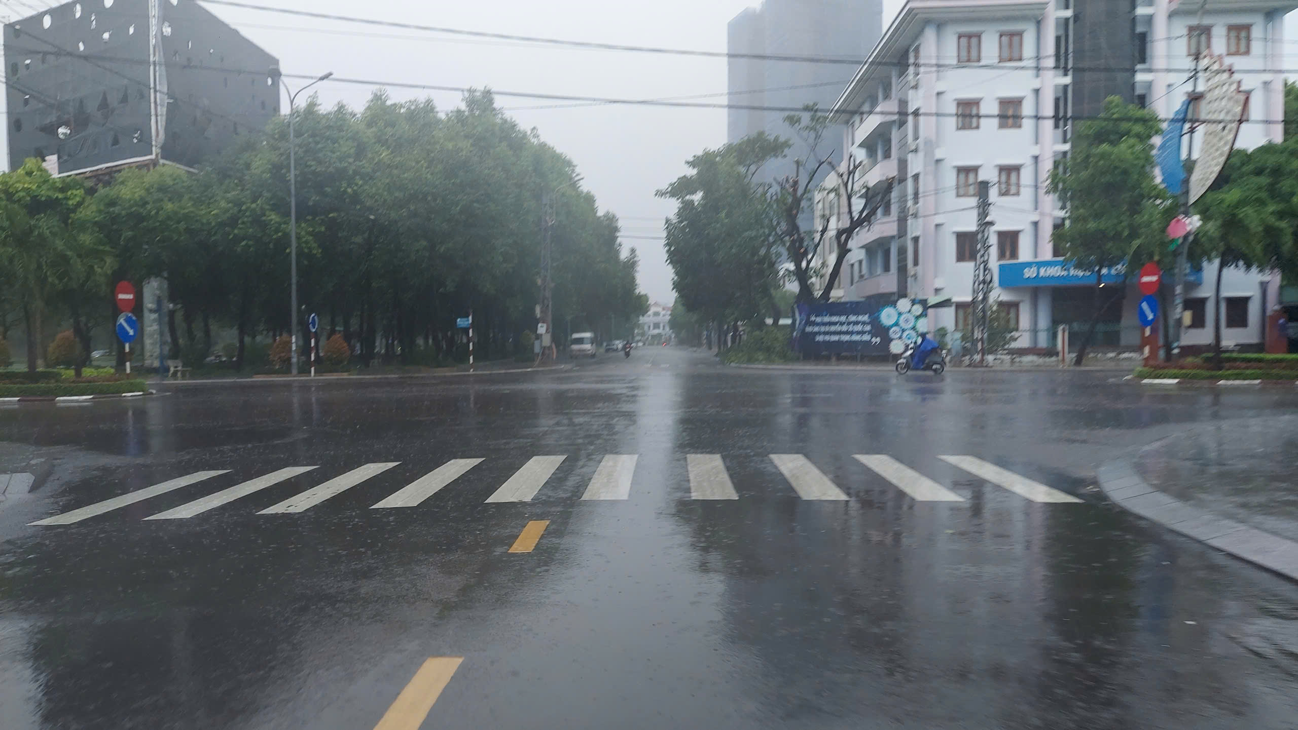 Gia Lai cấm người dân ra đường trước giờ bão Kalmaegi đổ bộ - Ảnh 1.