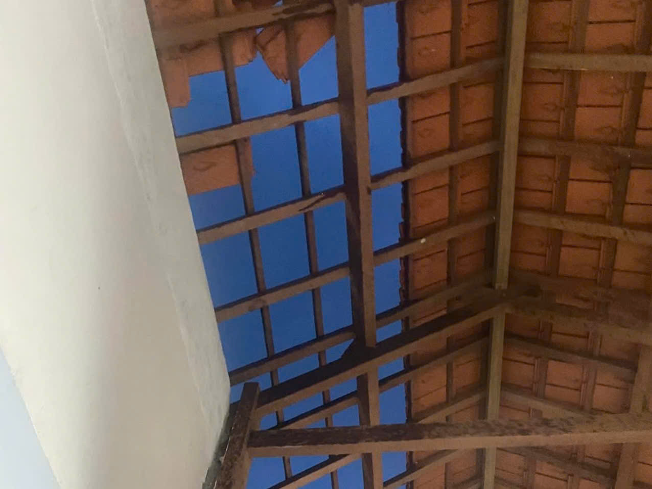 Quảng Ngãi: Bão Kalmaegi quật ngã nhiều cây xanh, nhà dân bị tốc mái - Ảnh 2.