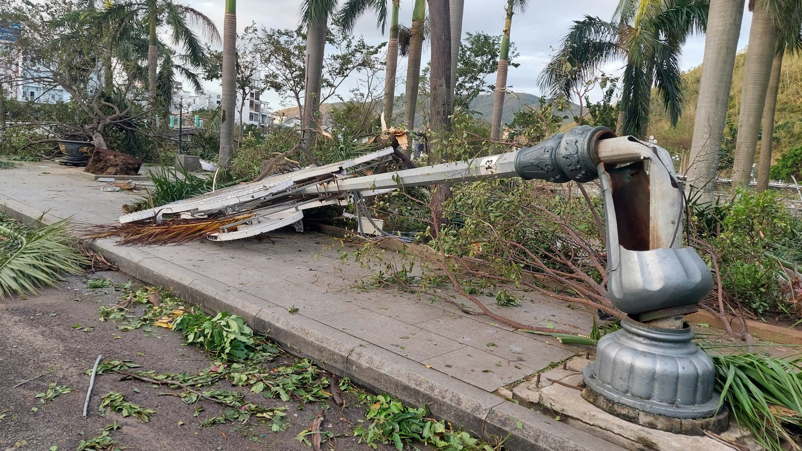 - Ảnh 3. - Ảnh 3.