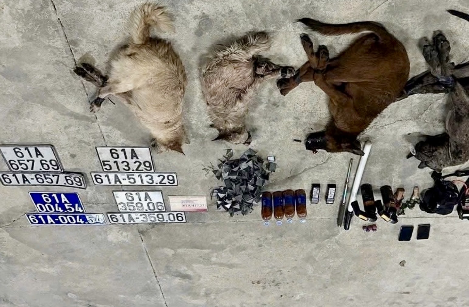 TP.HCM: Trộm chó bỏ lại xe ô tô có cả biển số xanh để thoát thân - Ảnh 1.