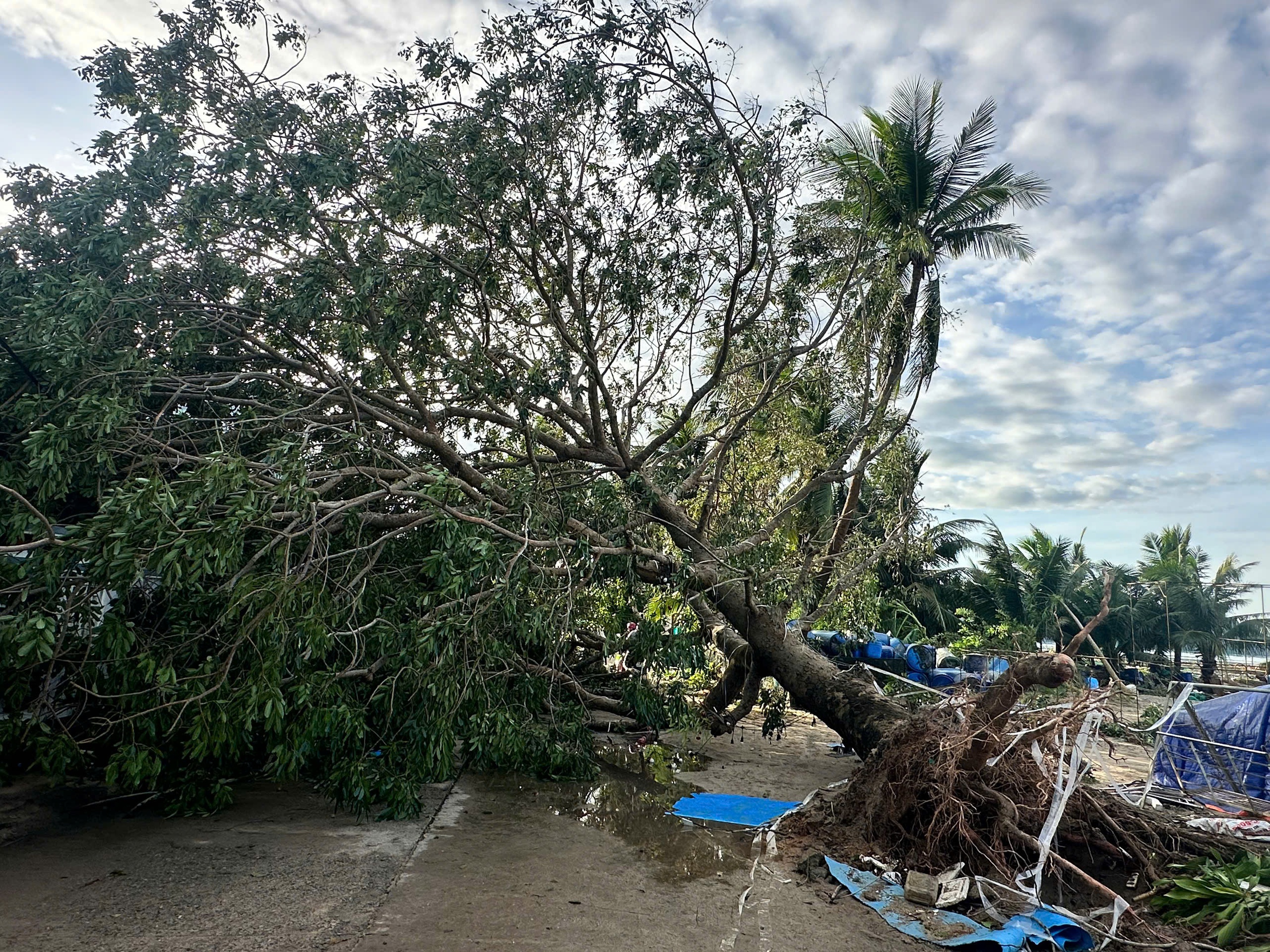 Đắk Lắk: Ngư dân thiệt hại hàng tỉ đồng, mất trắng sau bão số 13 Kalmaegi - Ảnh 3. Đắk Lắk: Ngư dân thiệt hại hàng tỉ đồng, mất trắng sau bão số 13 Kalmaegi - Ảnh 3.