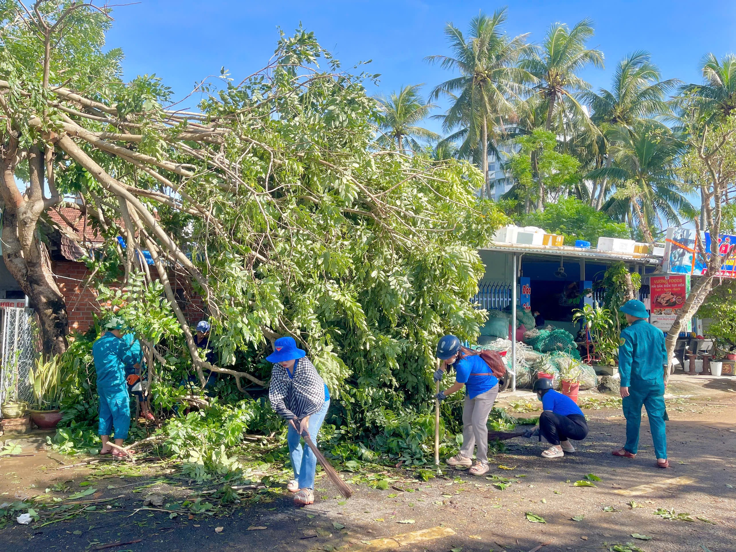 Thanh niên dậy sớm, giúp dân dọn bão Kalmaegi- Ảnh 3. Thanh niên dậy sớm, giúp dân dọn bão Kalmaegi- Ảnh 3.